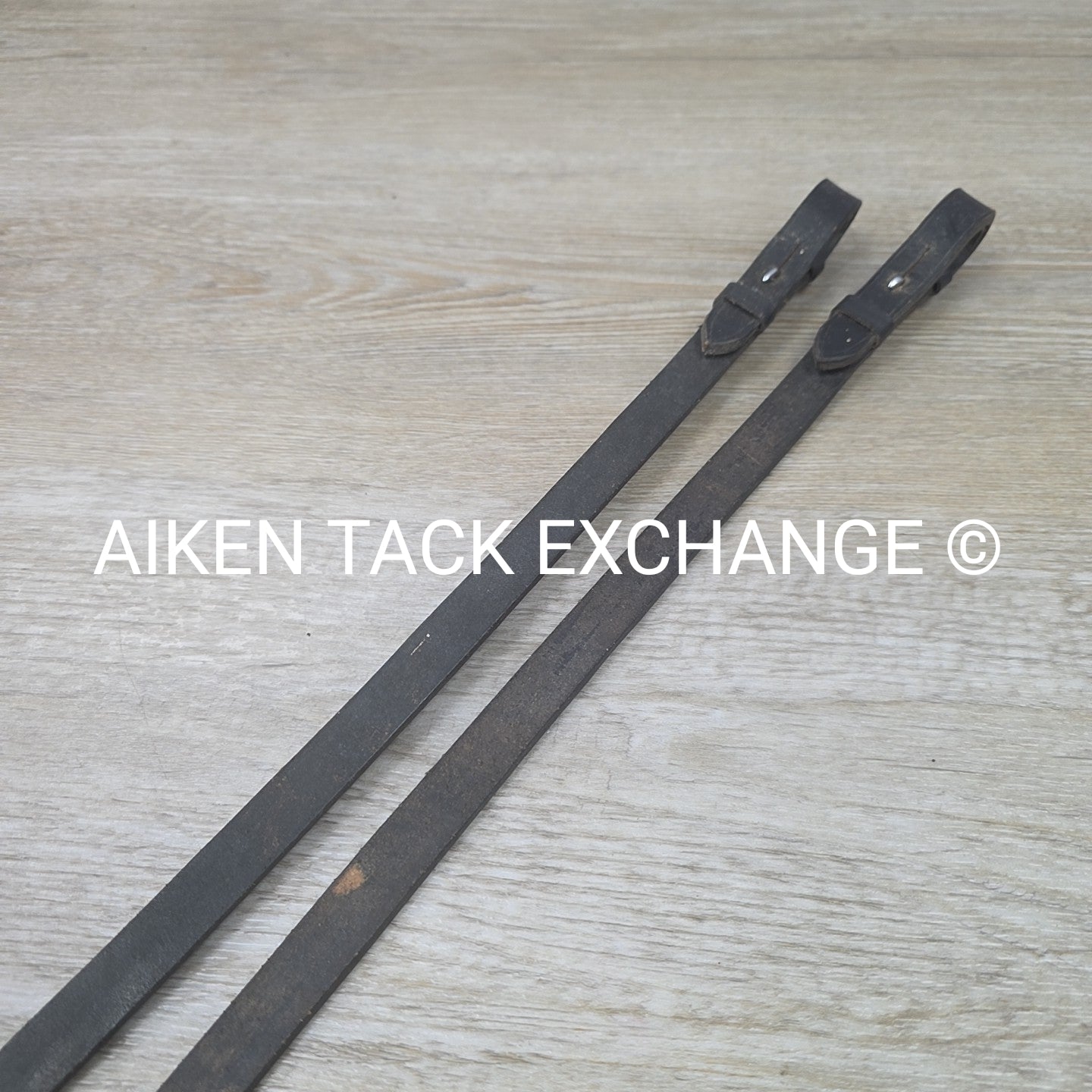 BARGAIN BUNDLE: 3 Pair Cotton Web Reins, Black