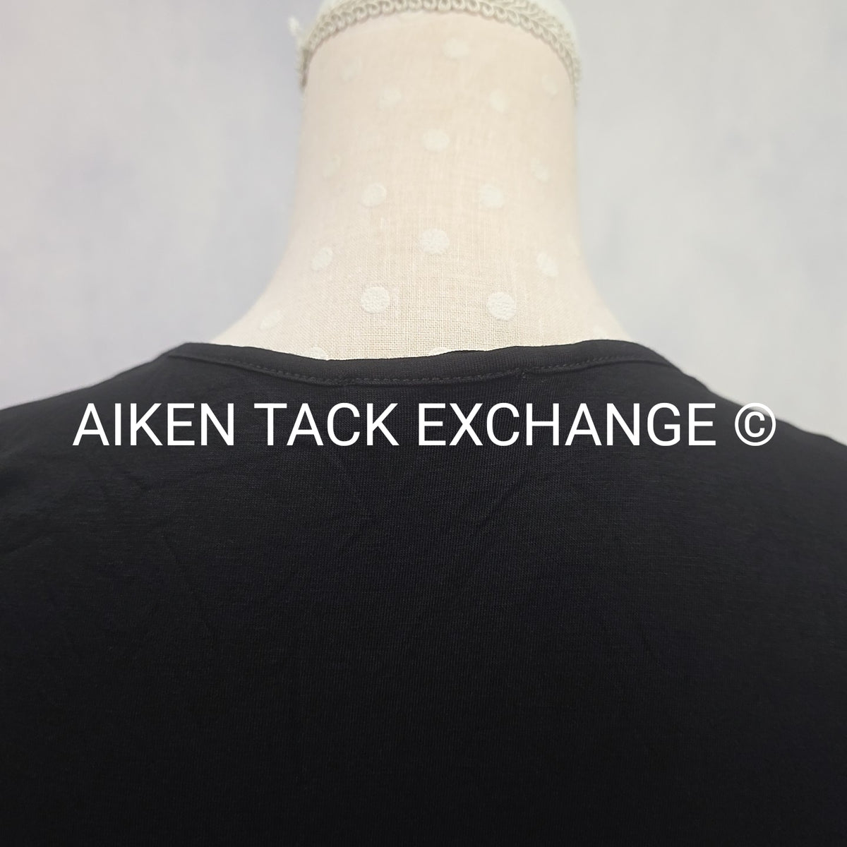 Venus T-Shirt Dress, Size Small
