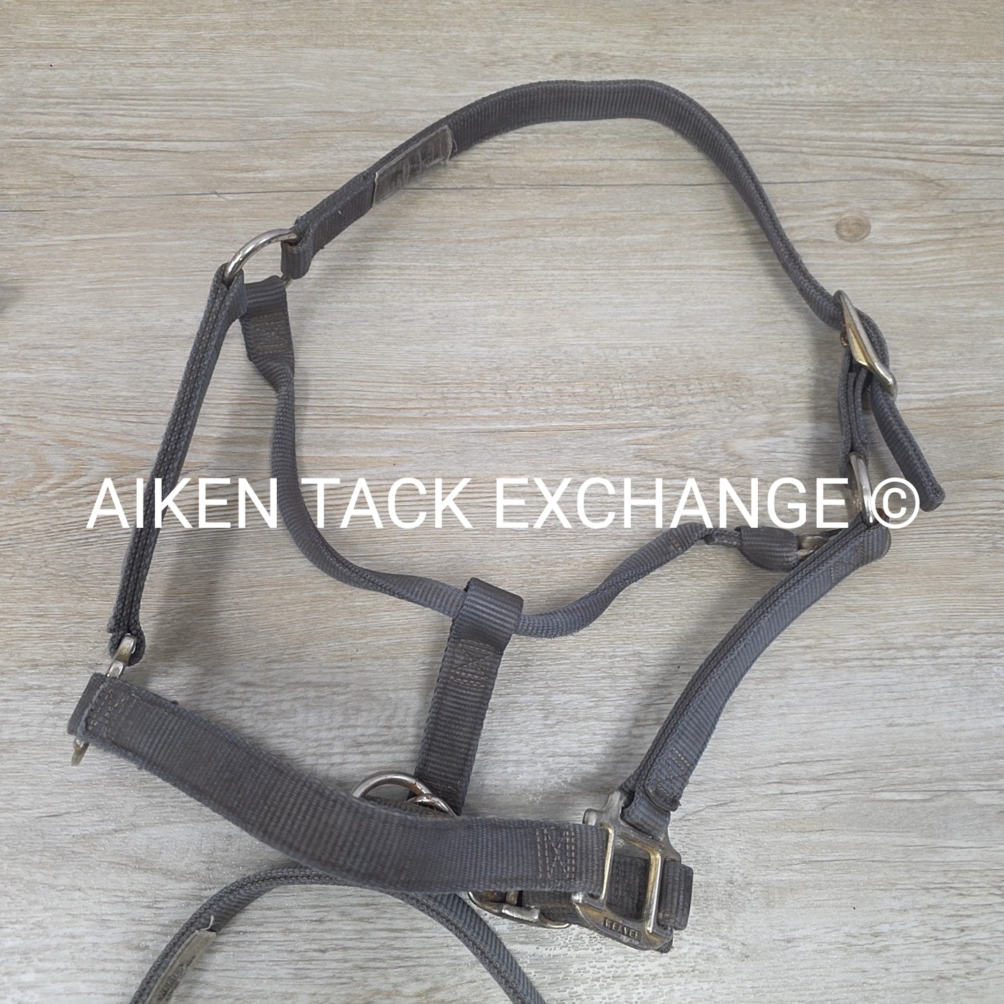 BARGAIN BUNDLE 4 Weaver Leather Nylon Halters, Size Large Horse