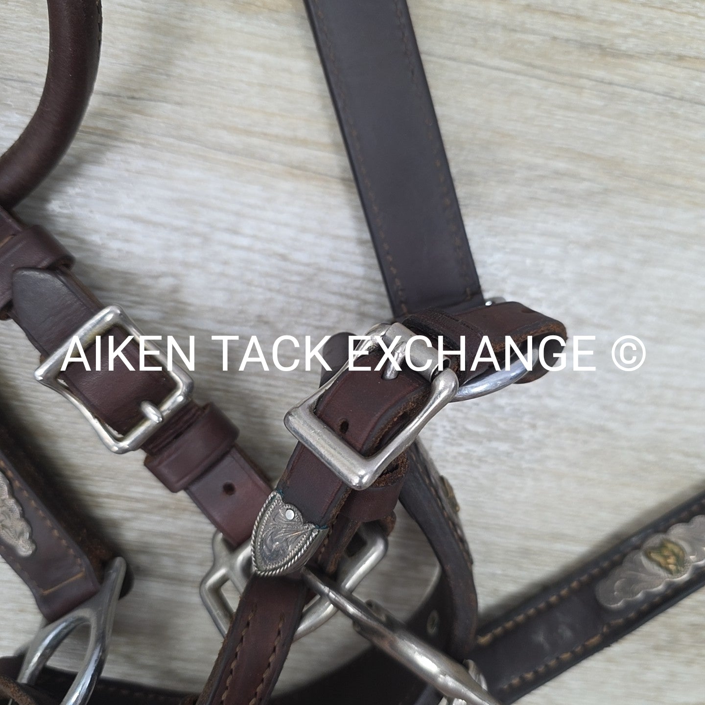 Victor Quality Westen Show Halter with Lead