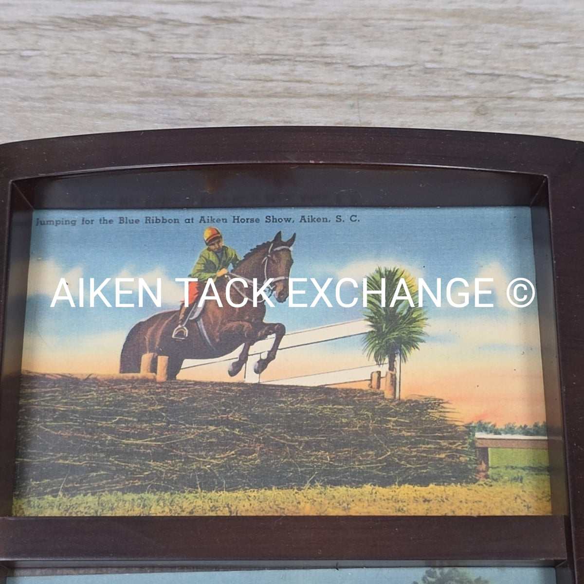 Aiken Equestrian Collage, 6" x 11"