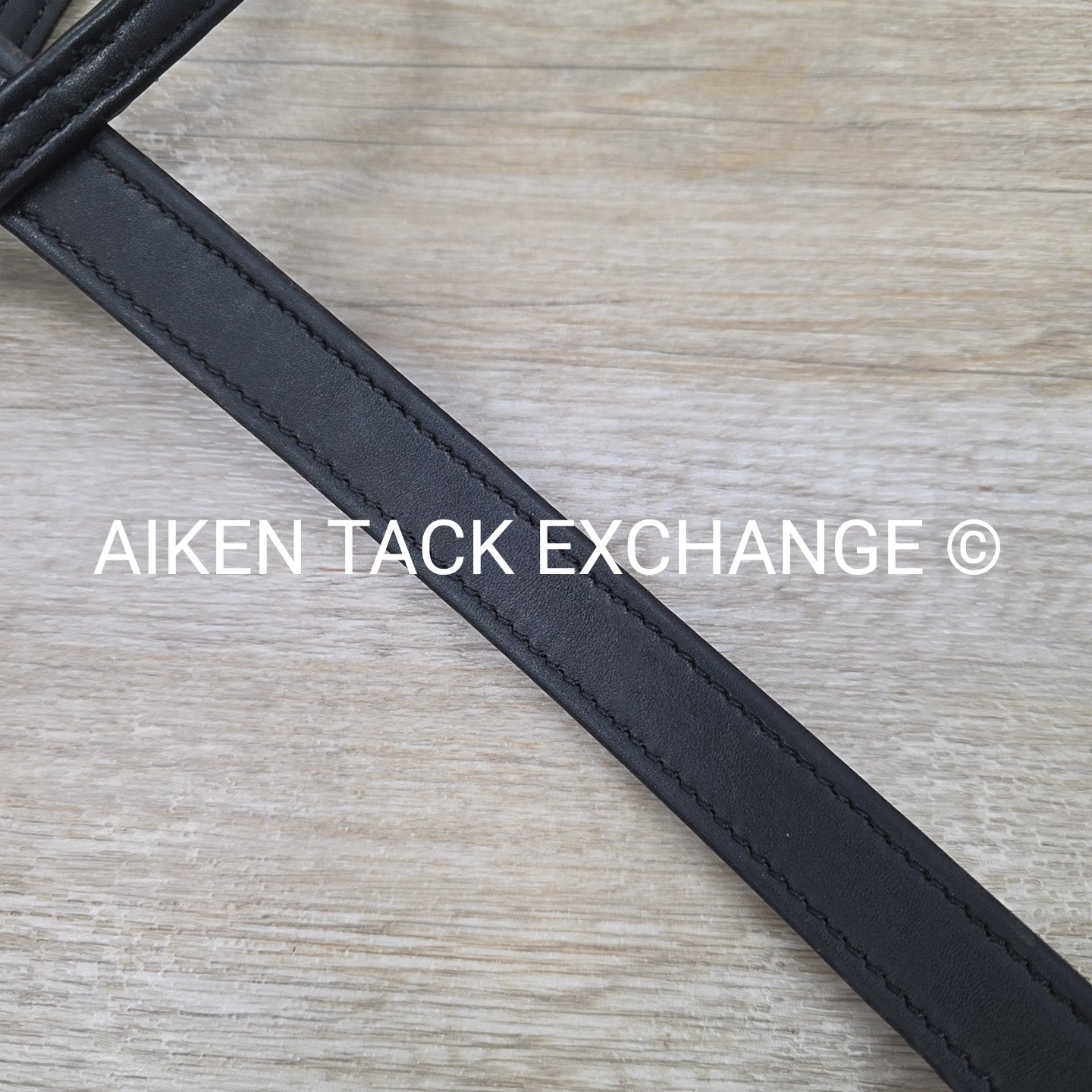 Synthetic Flat Running Martingale, Black, Size Cob