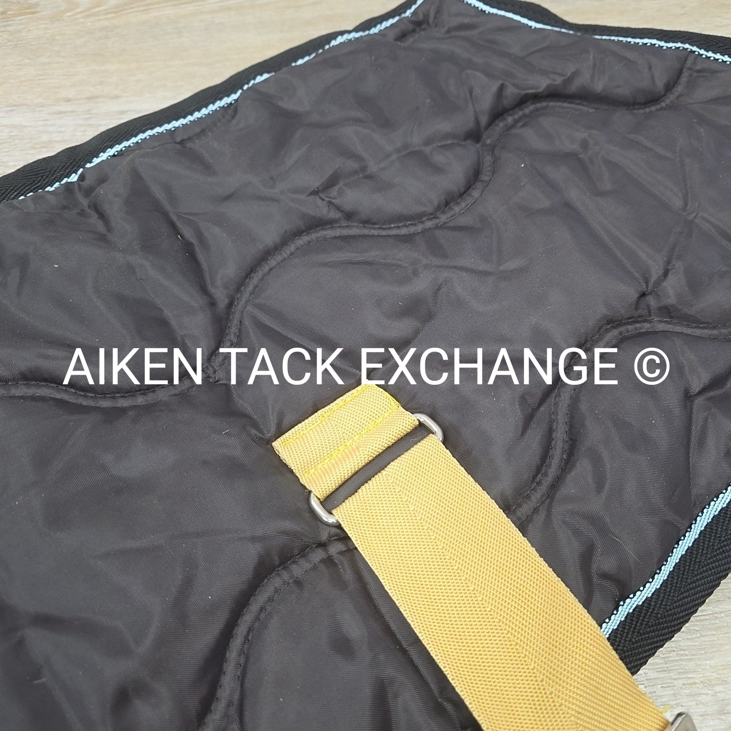 Harry Horse Dog Blanket, 24"