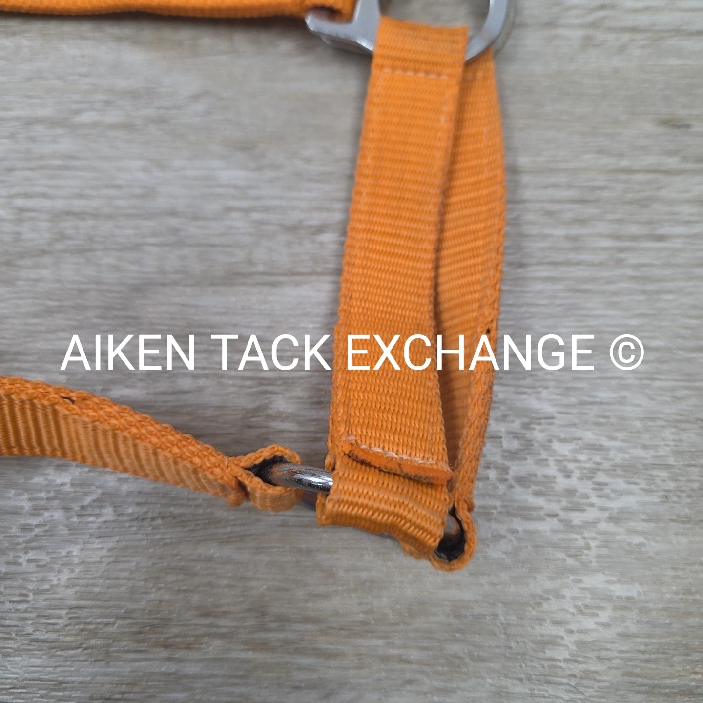 Nylon Halter, Size Full