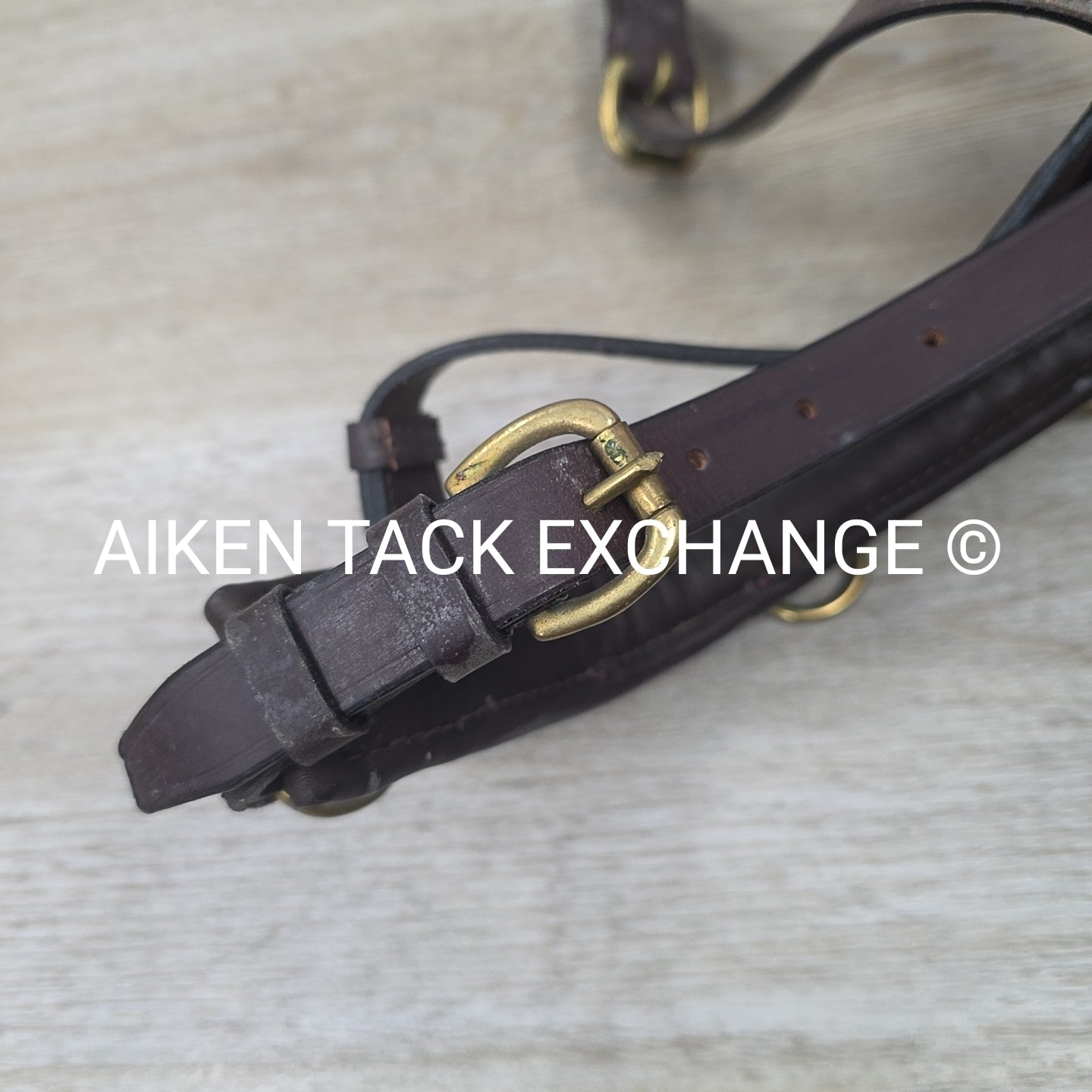 BARGAIN BUNDLE: Leather Lunging Cavesson & Surcingle