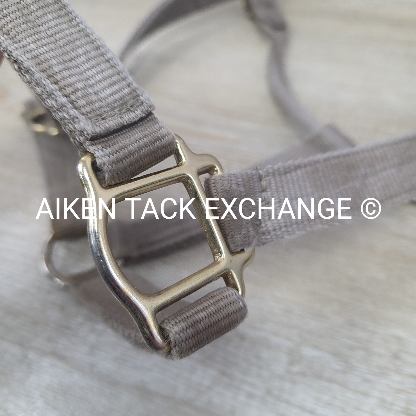 BARGAIN BUNDLE 5 Weaver Leather Nylon Halters, Size Horse