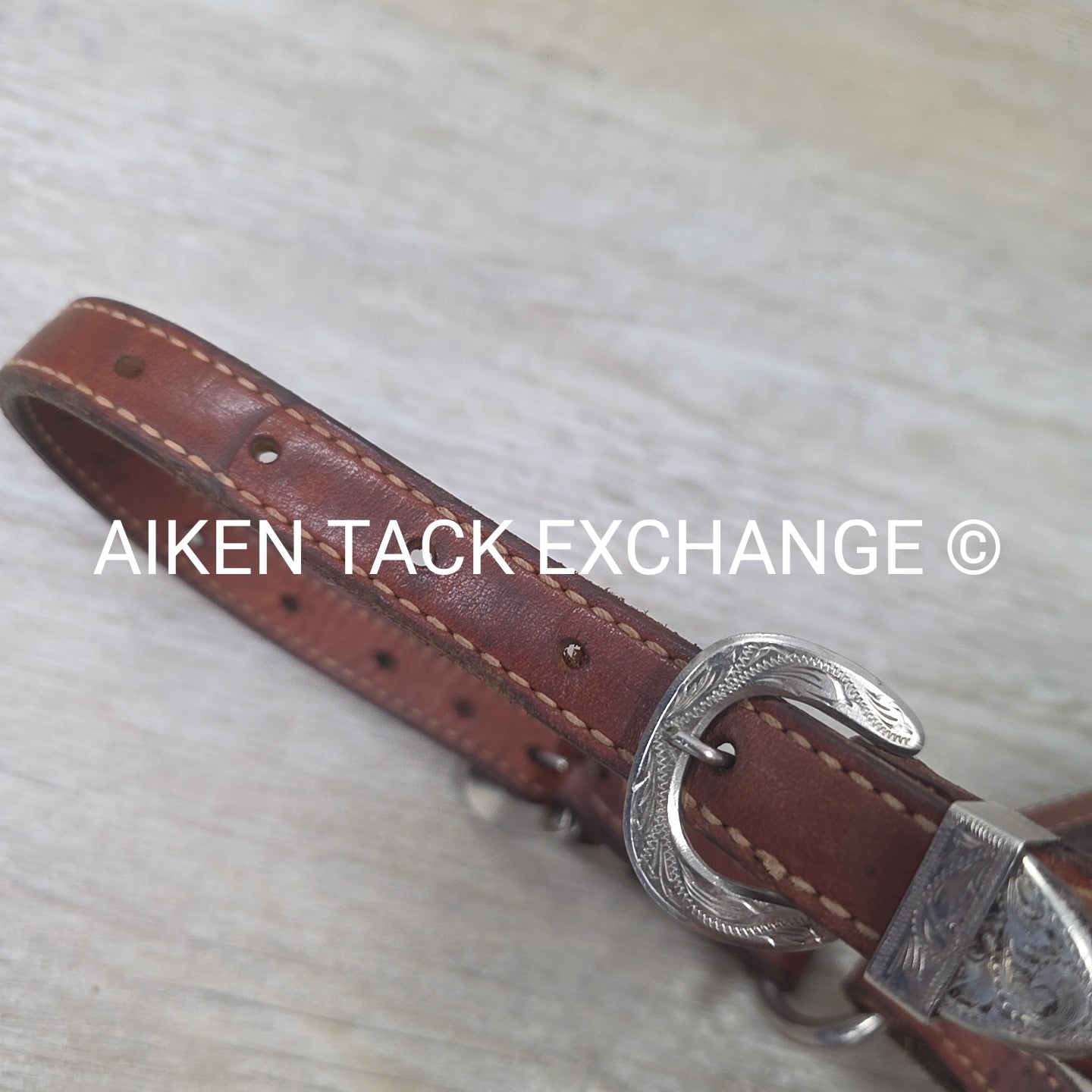 Western Show Halter, Size Foal