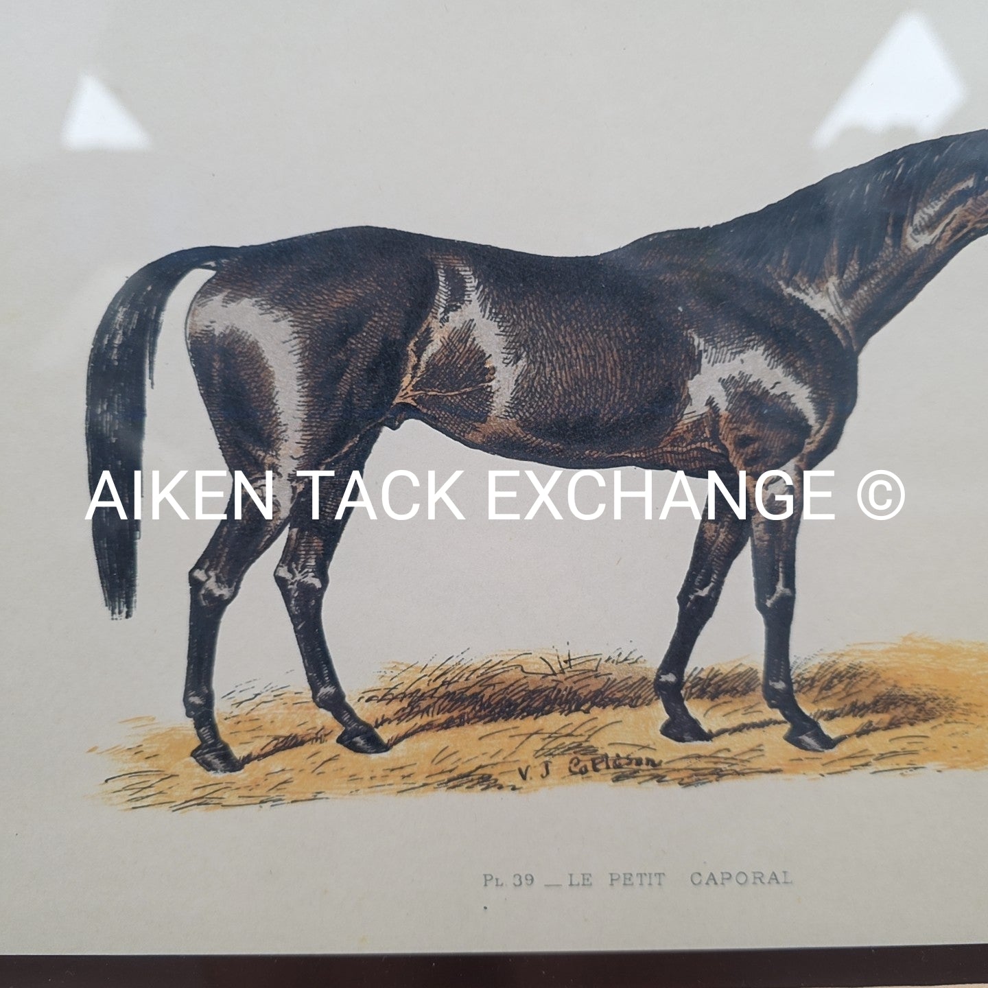 PL. 39 Le Petit Corporal, Embroidered, Matted, Framed, 31" x 27"