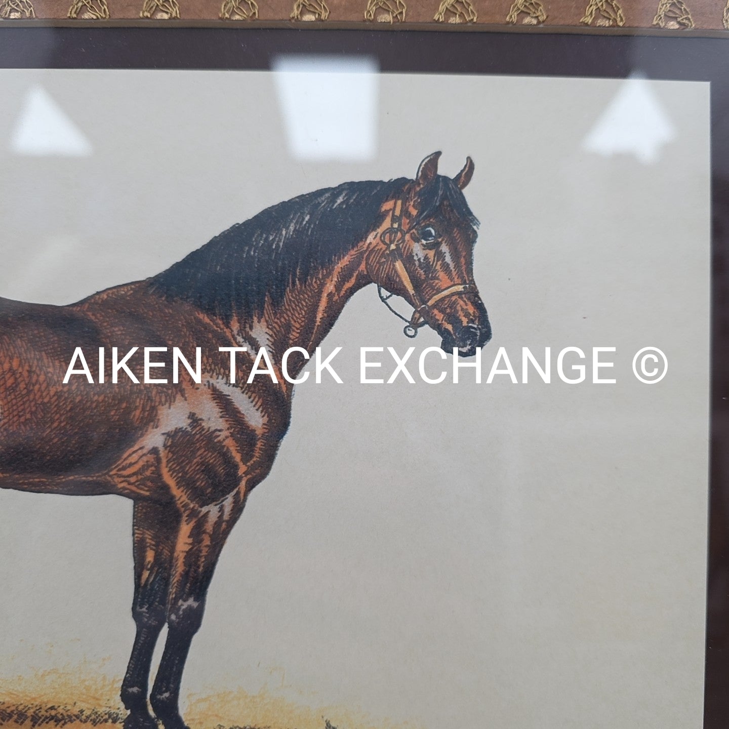 PL. 10 Nougat by L. Penicut, Embroidered, Matted, Framed, 31" x 27"