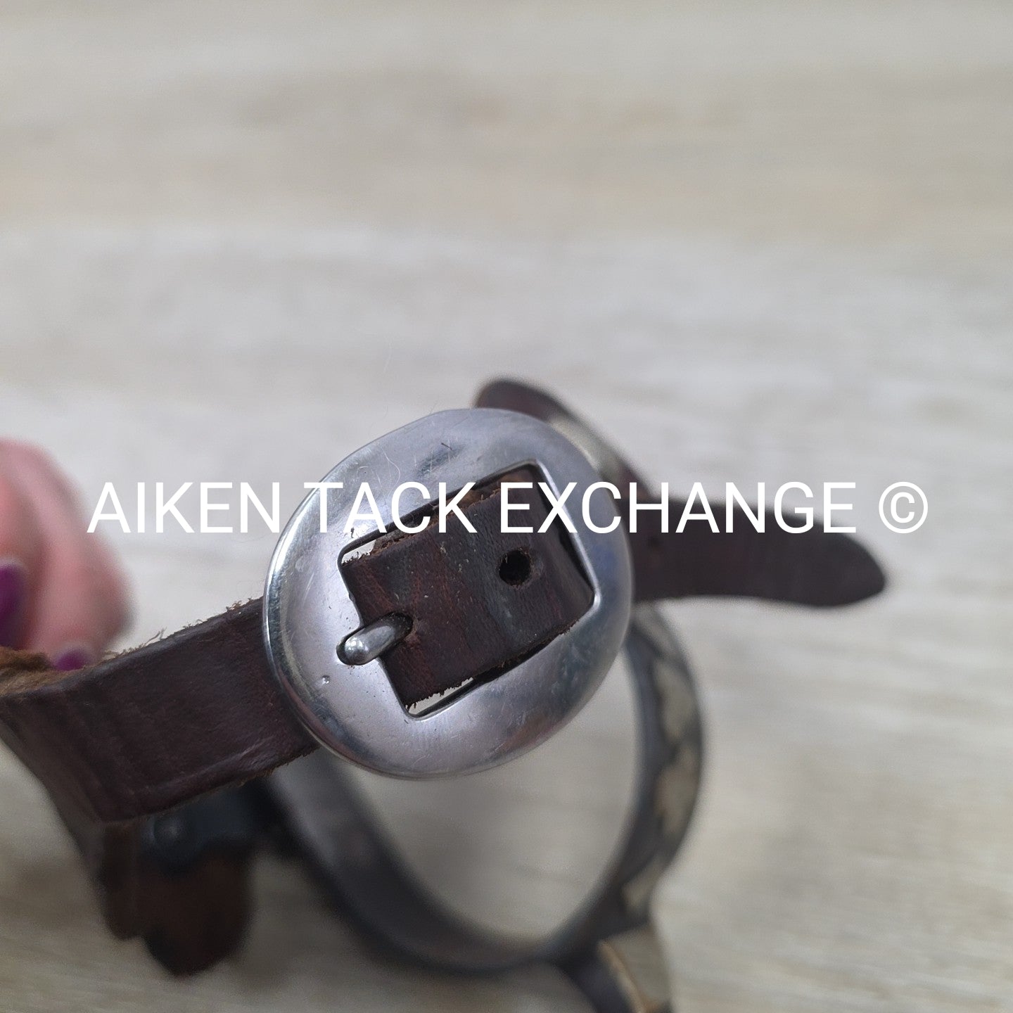 Western Rowel Spurs with Leather Spur Straps