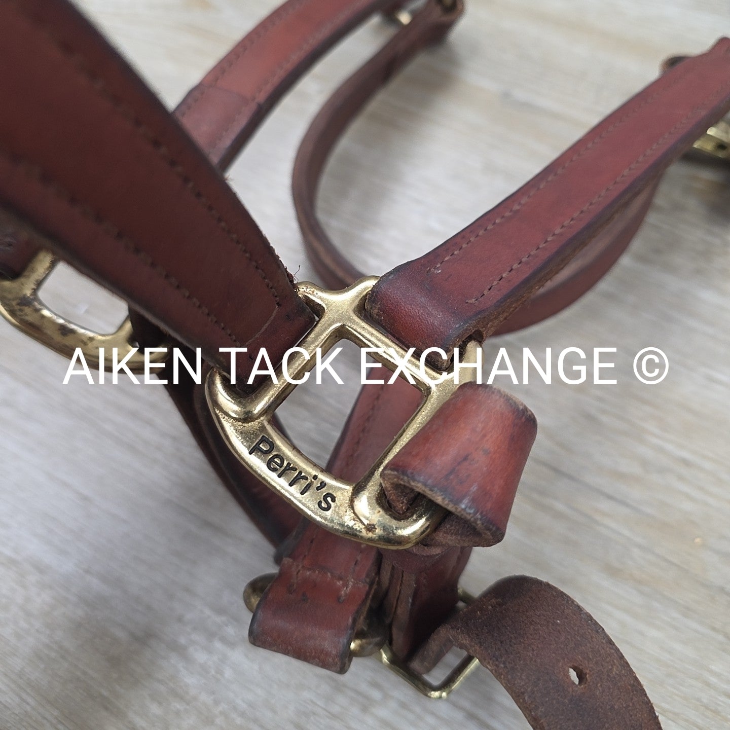BARGAIN BUNDLE: Perri's Leather Halter with Leather Lead Chain