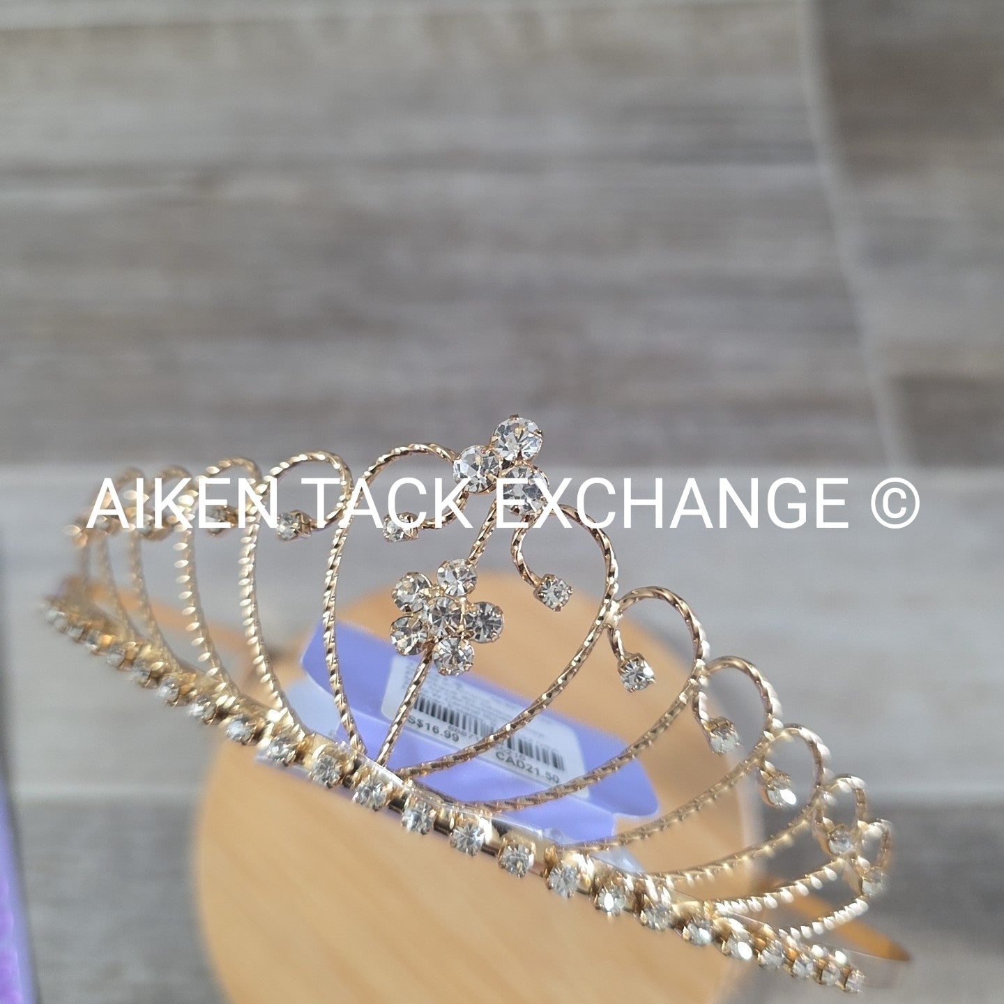 Claire's Tiara + Necklace