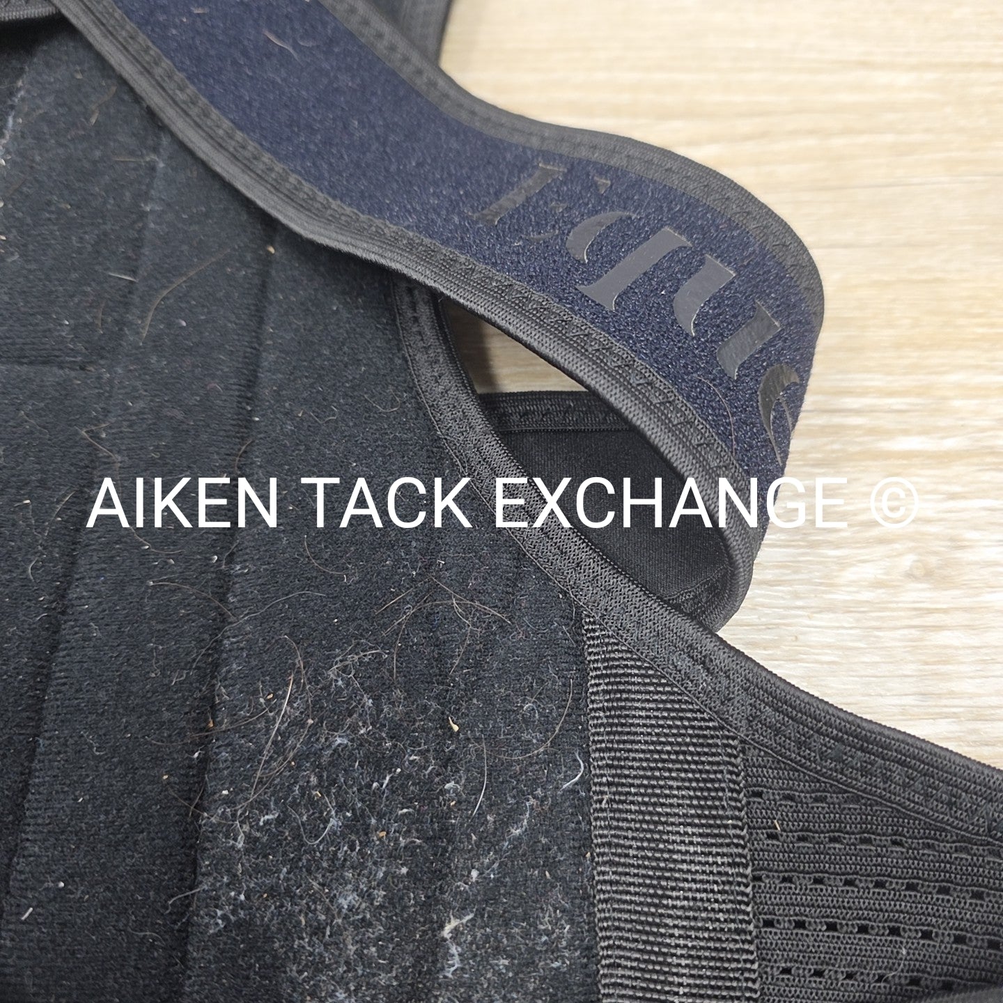 Equestorian Back Brace, Size Large