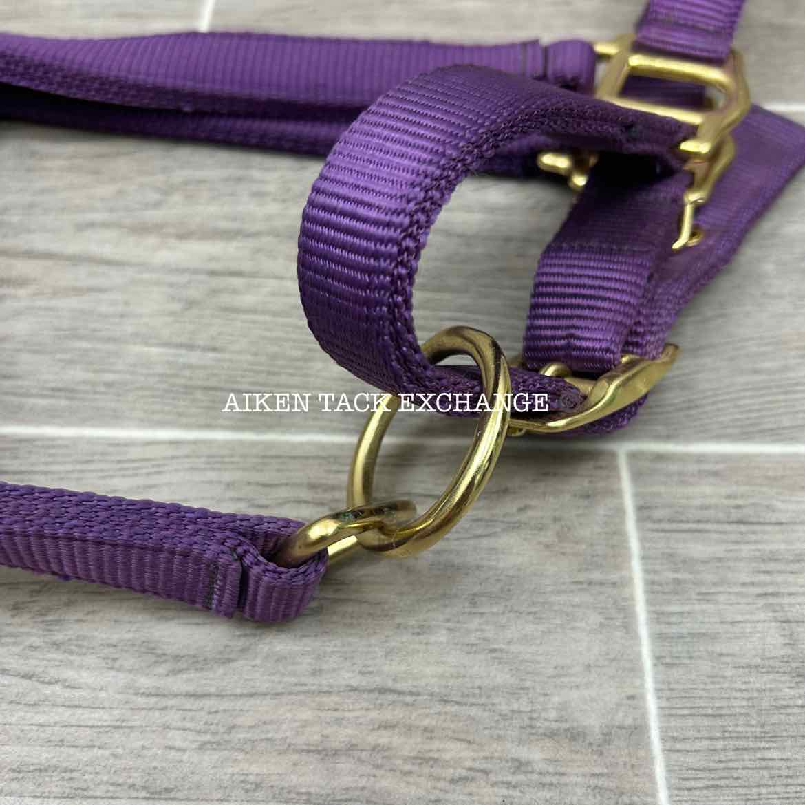 Dover Saddlery Heavy Nylon Halter, Oversize