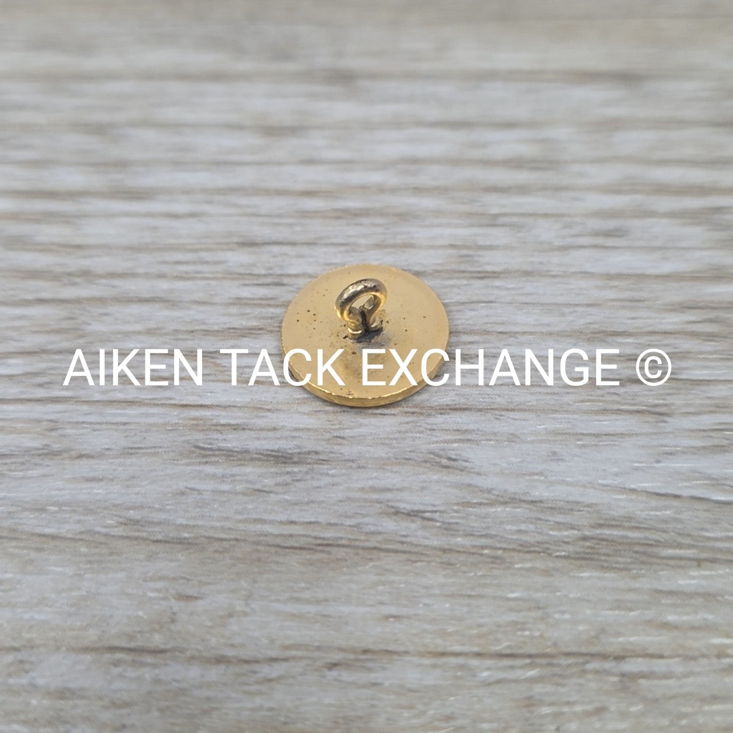 Tryon Hounds Brass Button, Small