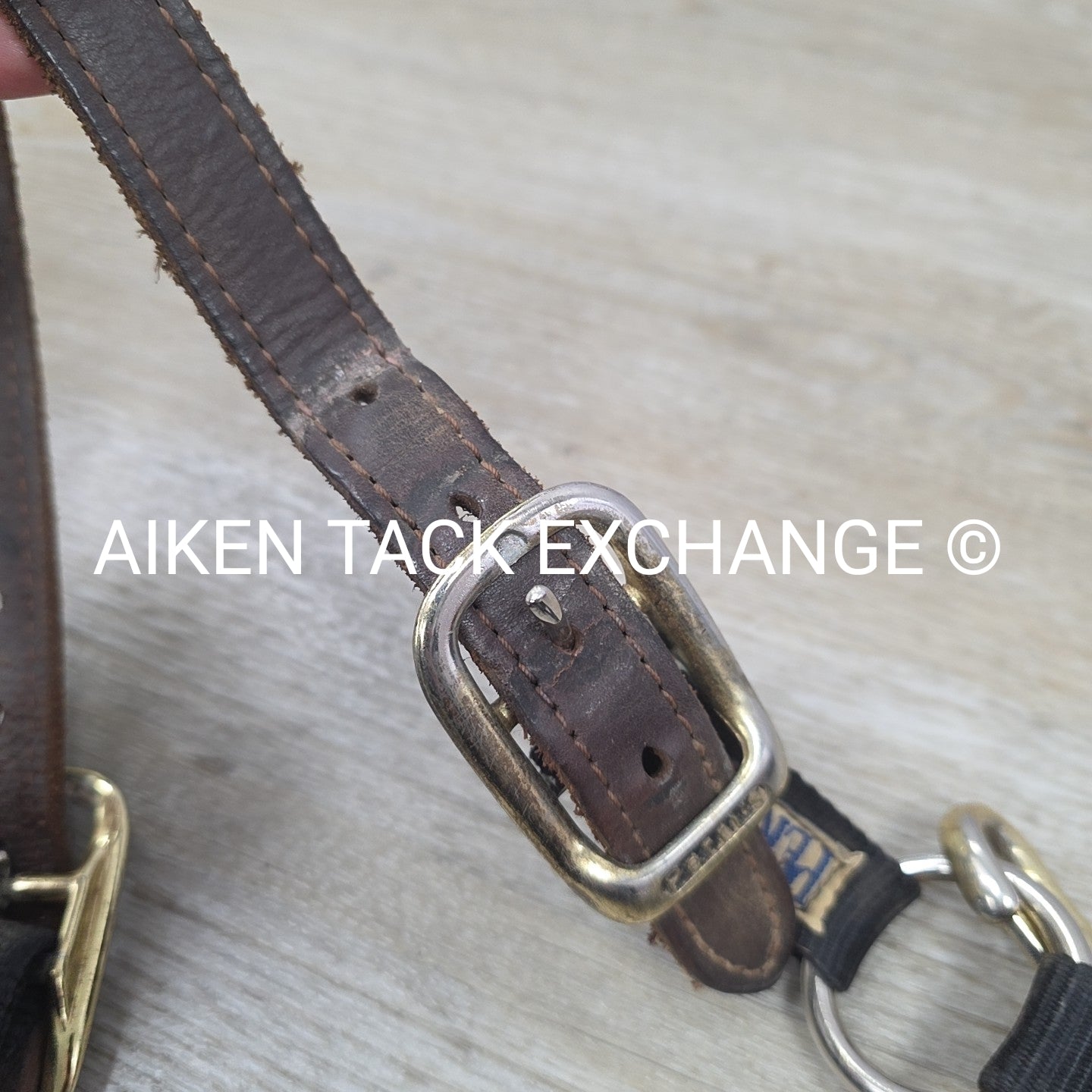 Perri's Nylon Breakaway Halter, Oversize