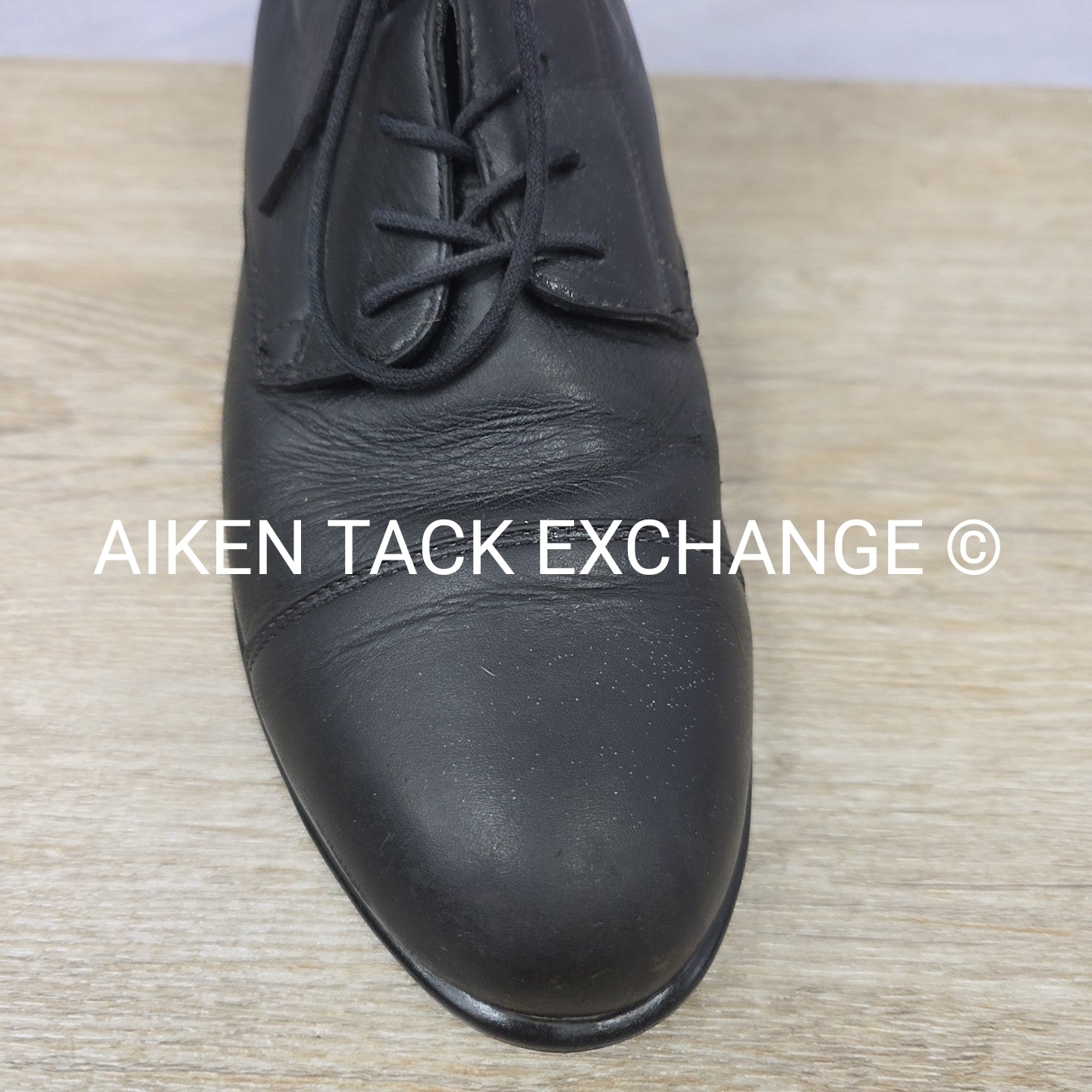 Ariat Lace Up Paddock Boots, Women's 11