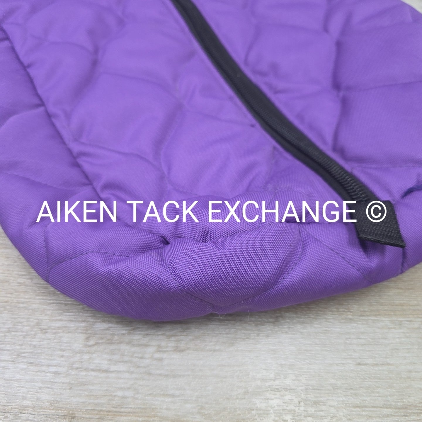 Padded Bridle Bag
