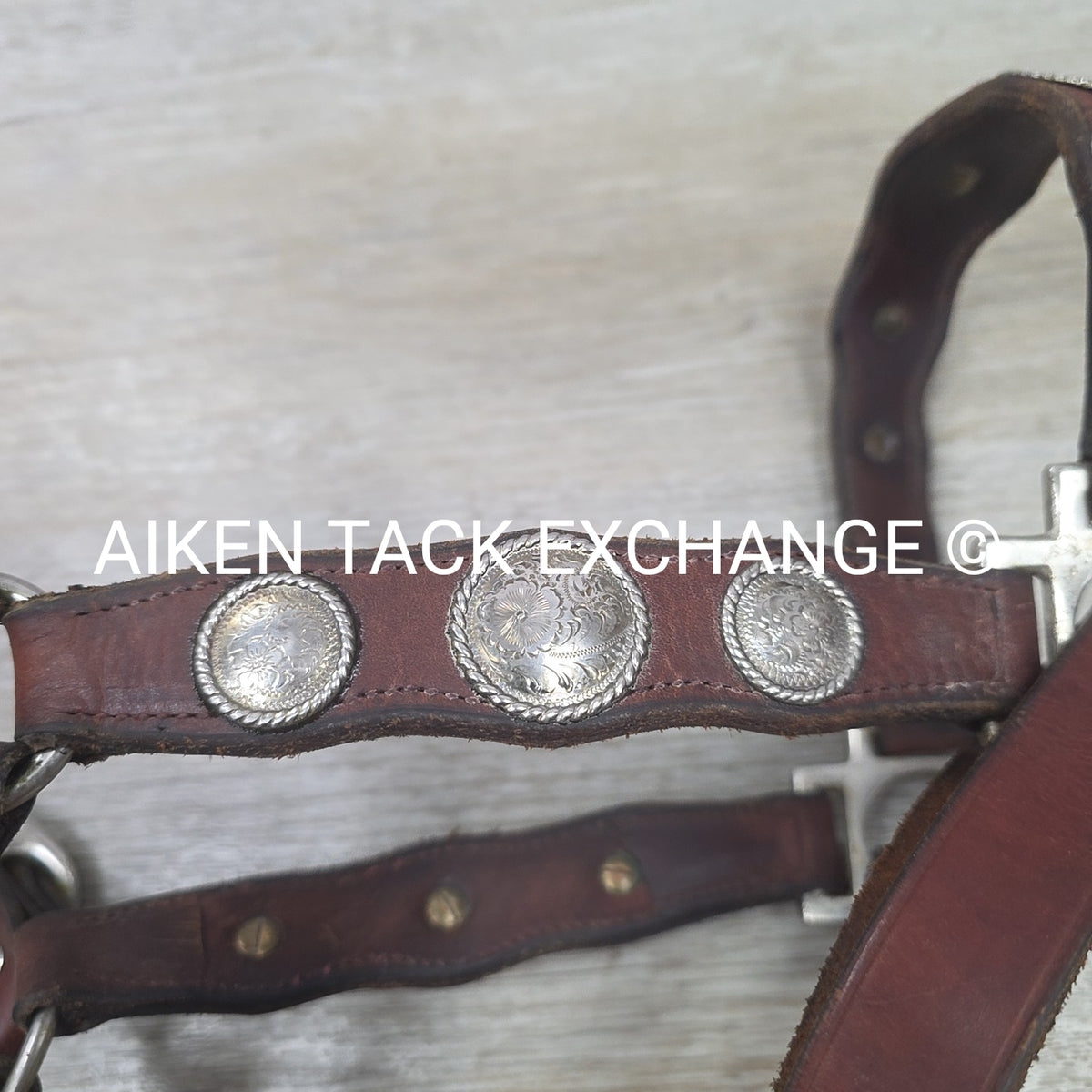 Western Show Halter, Size Full