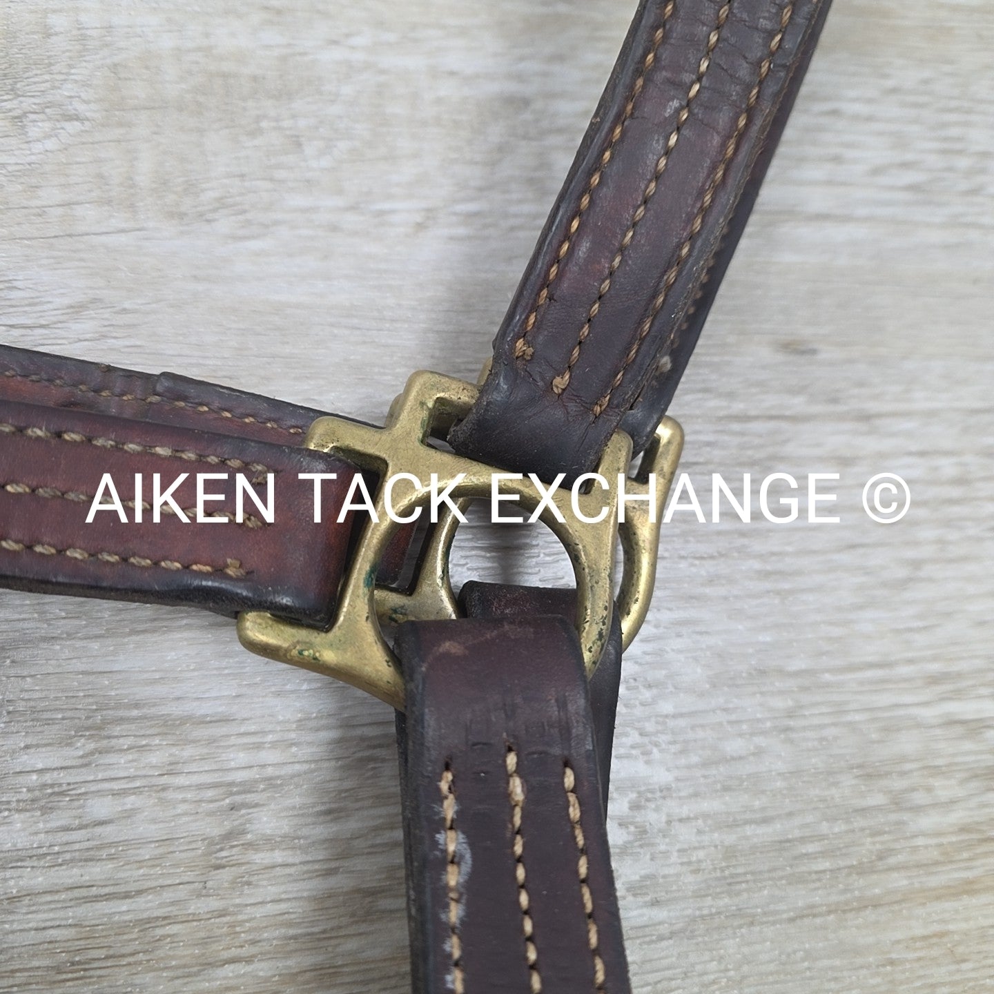 Walsh Triple Stitched Leather Halter, Has Name Plate, Size Cob