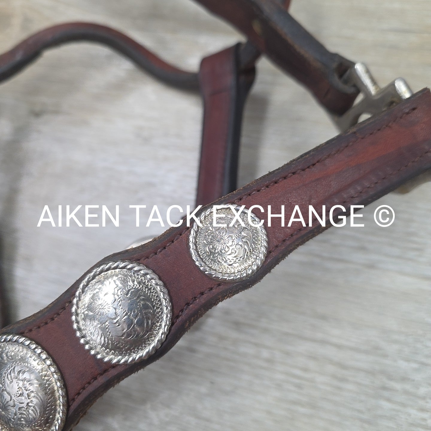 Western Show Halter, Size Full