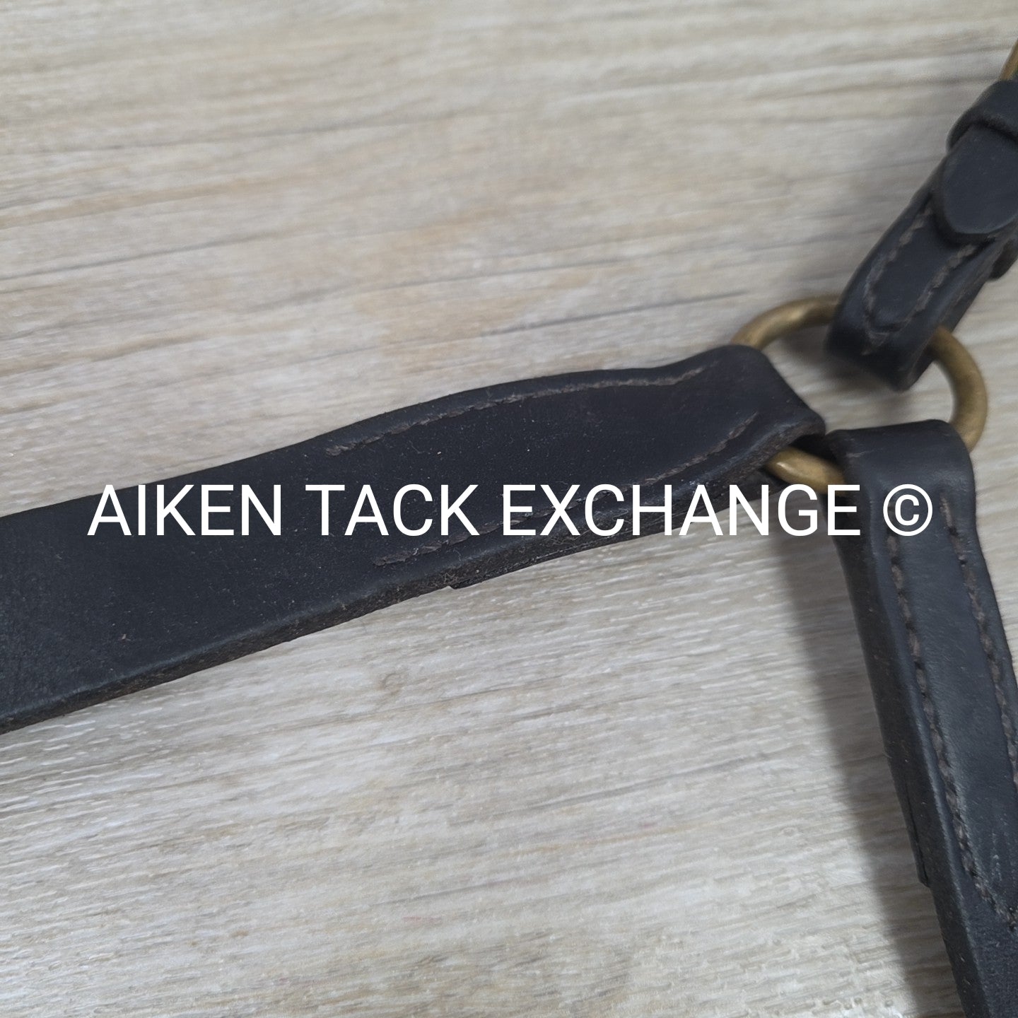 Nunn Finer Hunting Breastplate with Elastic, Black, Size Full