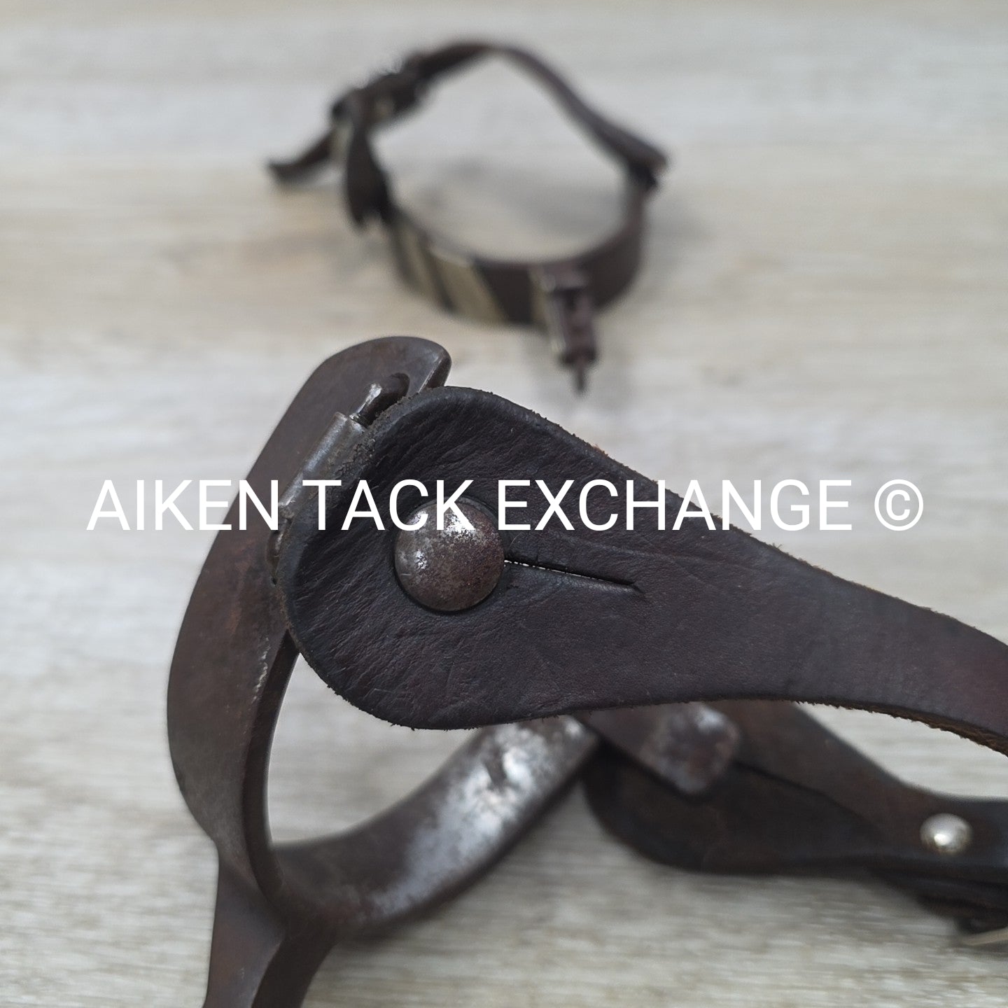 Classic Equine Cowboy Series Spurs with Chap Guard & Leather Spur Straps