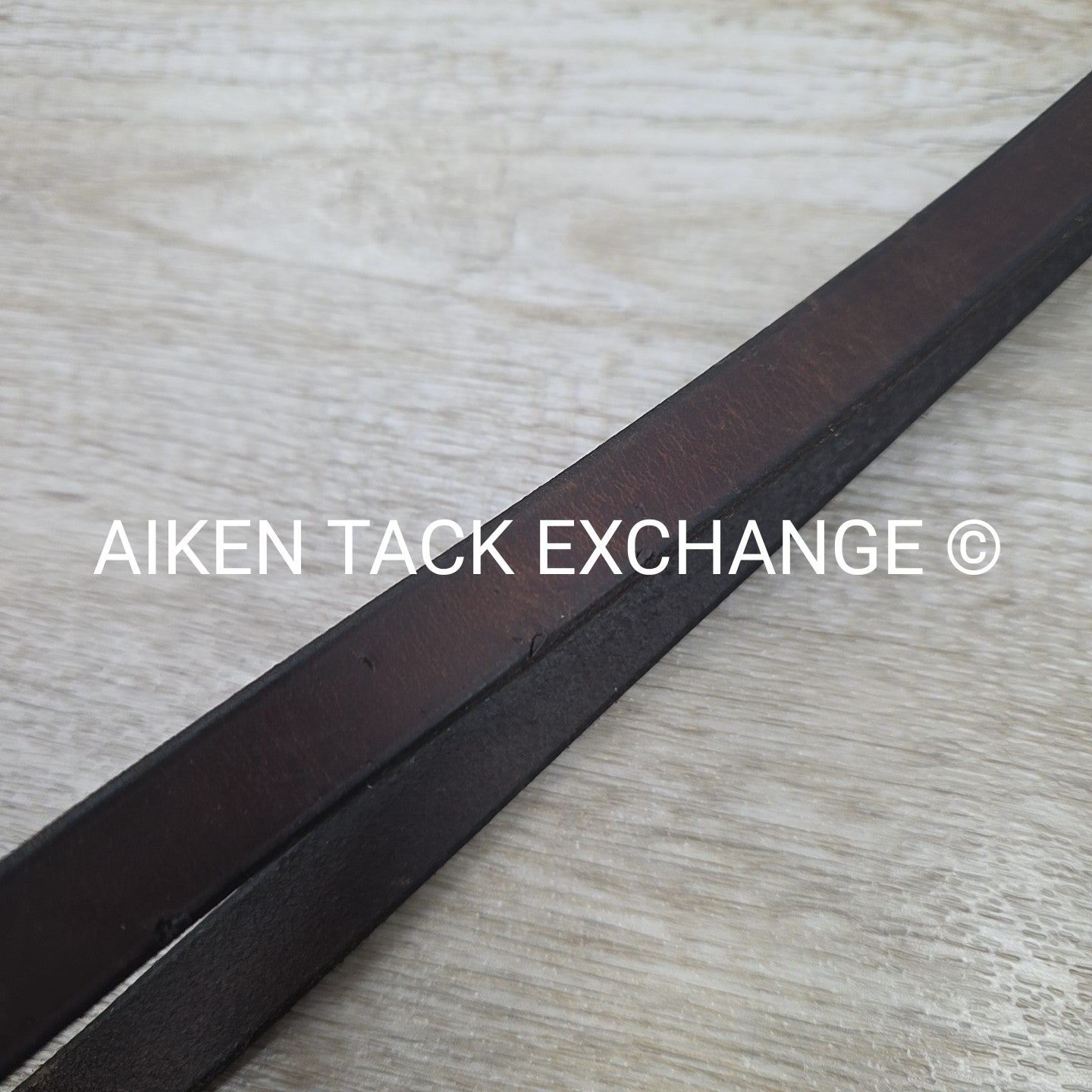 Horse Country First Flight Standing Martingale, Brown, Oversize