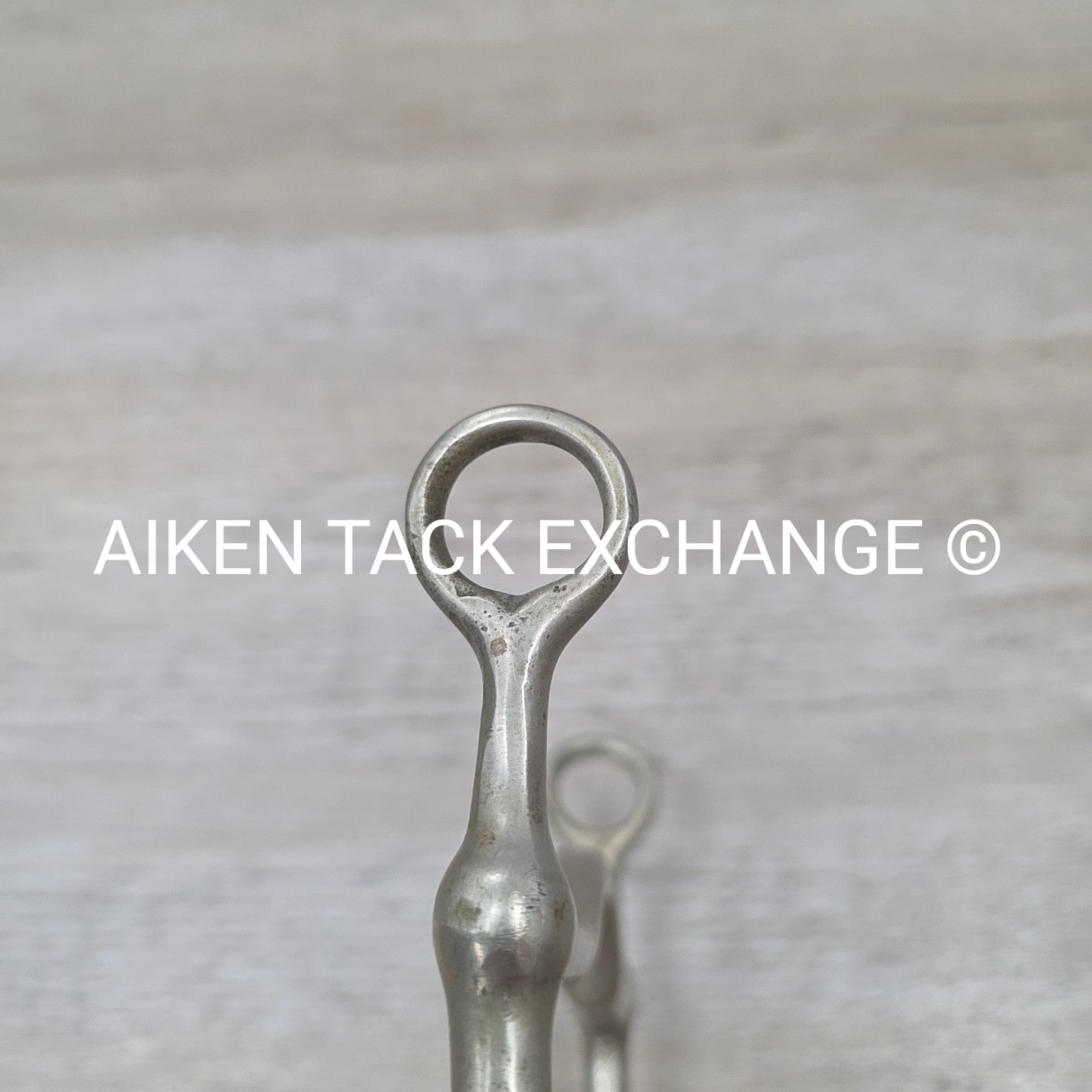 Never Rust Long Shank Bit 5" (No Hooks & Curb Chain)