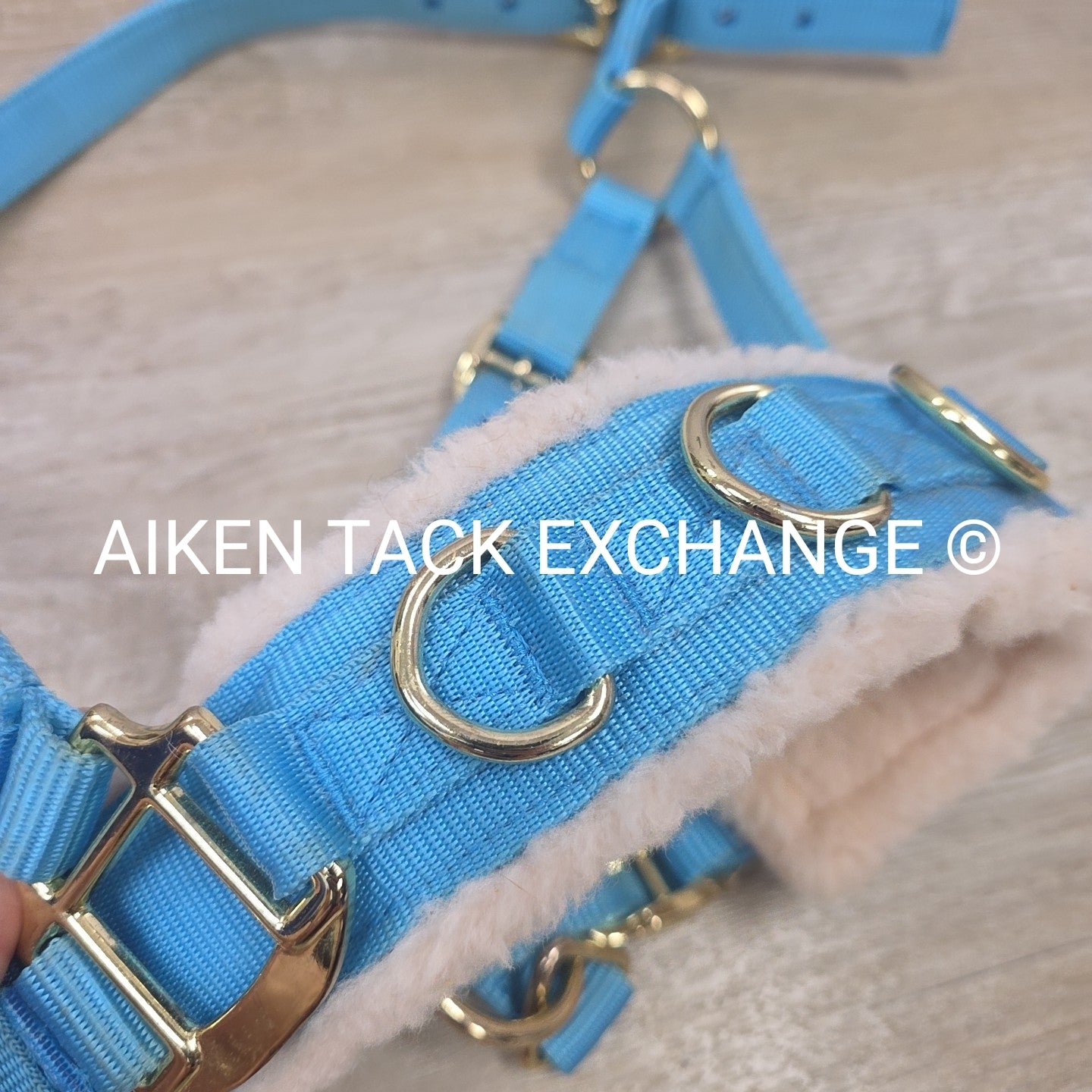 Shires Lunge Cavesson, Size Pony
