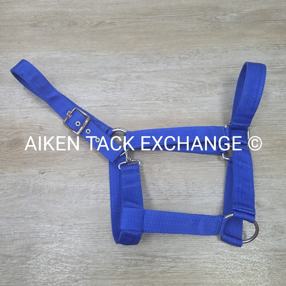 Nylon Halter, Draft