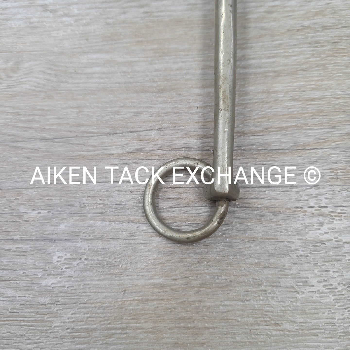 Never Rust Long Shank Bit 5" (No Hooks & Curb Chain)
