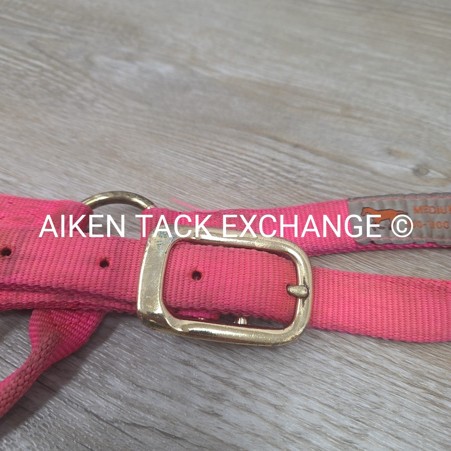 BARGAIN BUNDLE: 2 Nylon Halters & 2 Lead Ropes