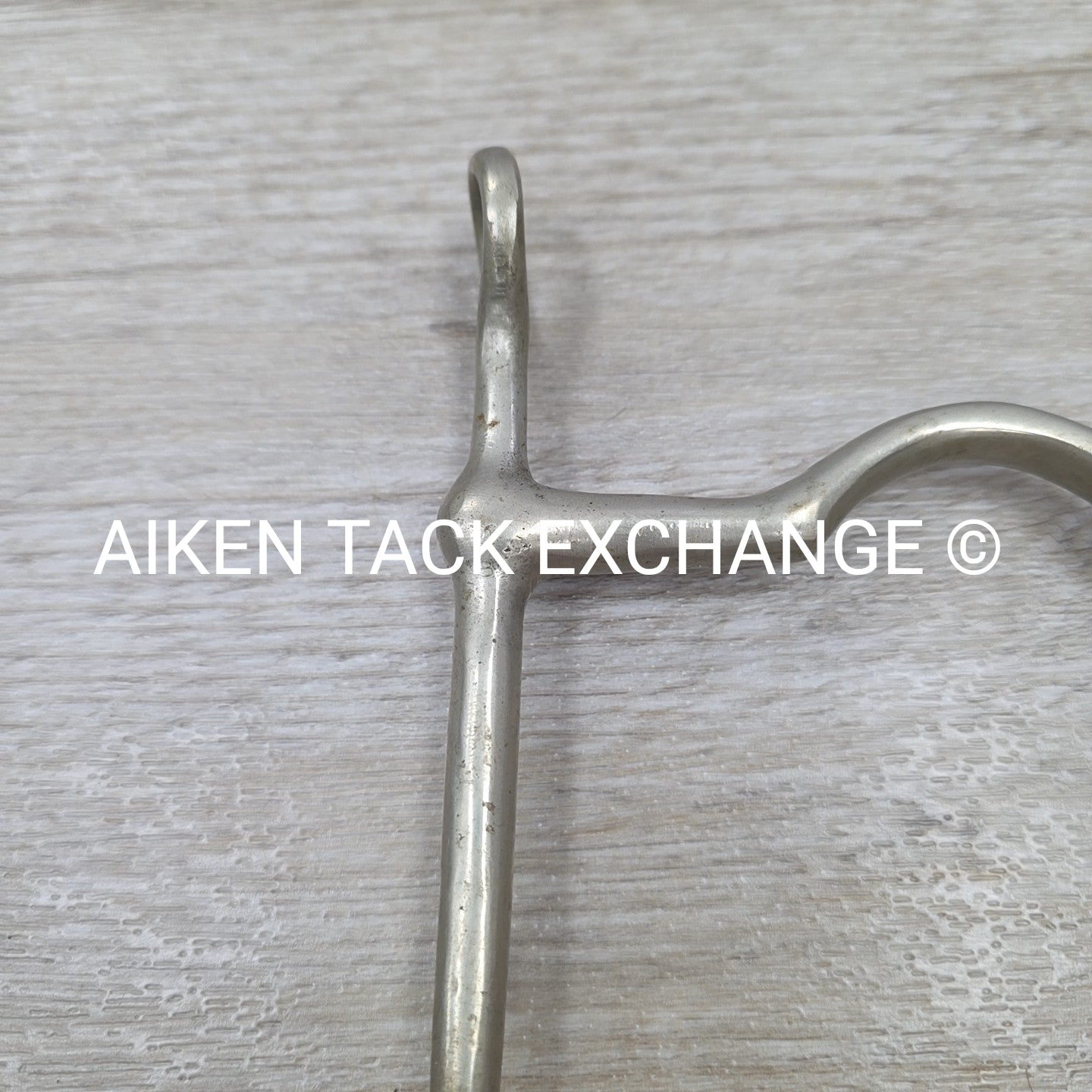 Never Rust Long Shank Bit 5" (No Hooks & Curb Chain)