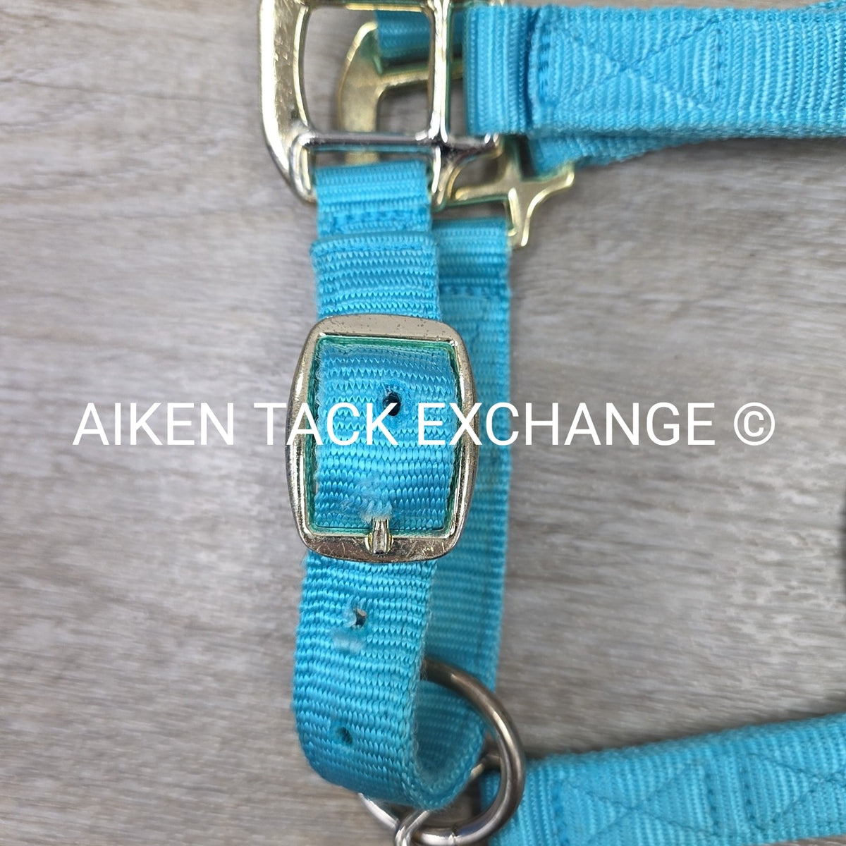 Nylon Halter, Size Cob