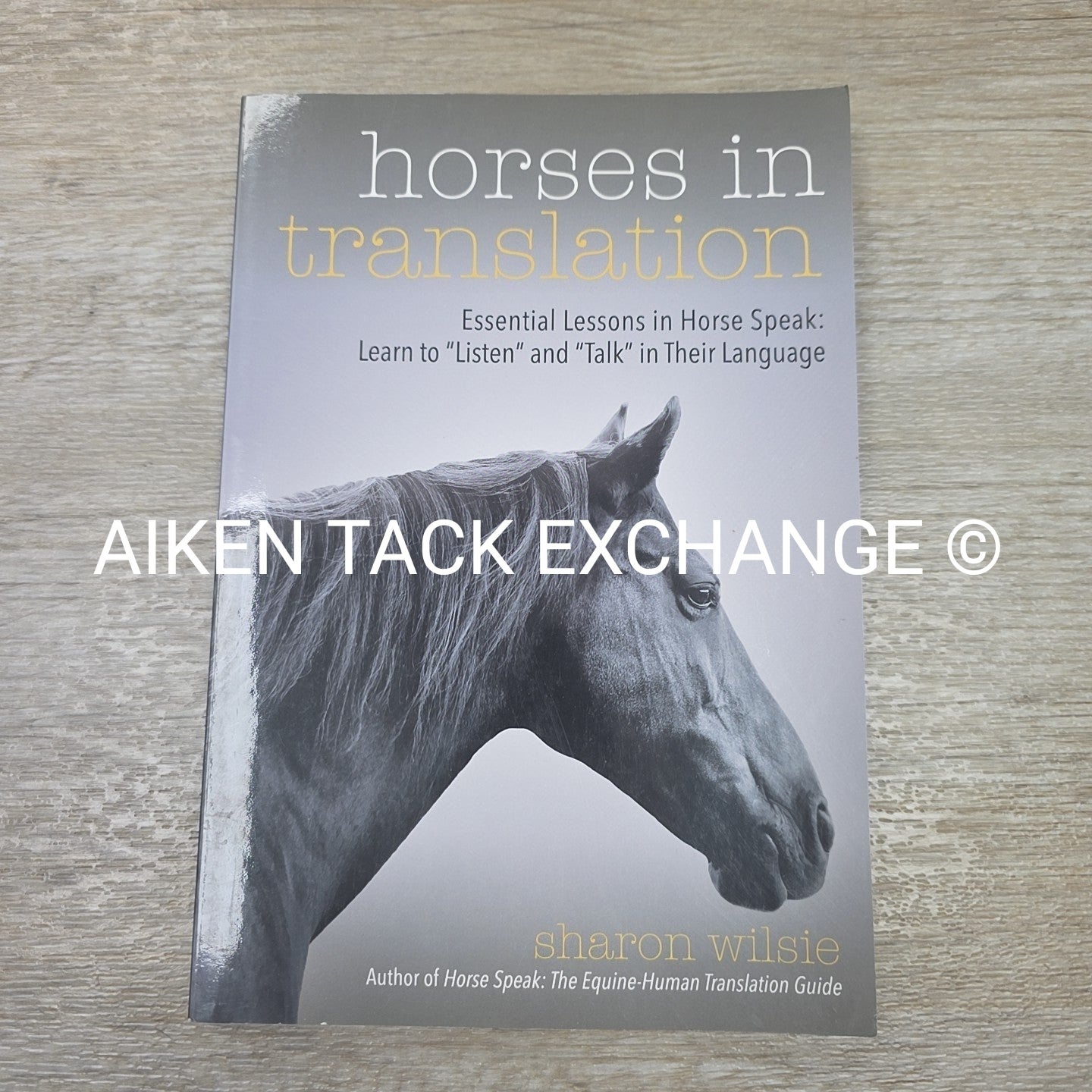 Horses in Translation by Sharon Wilsie
