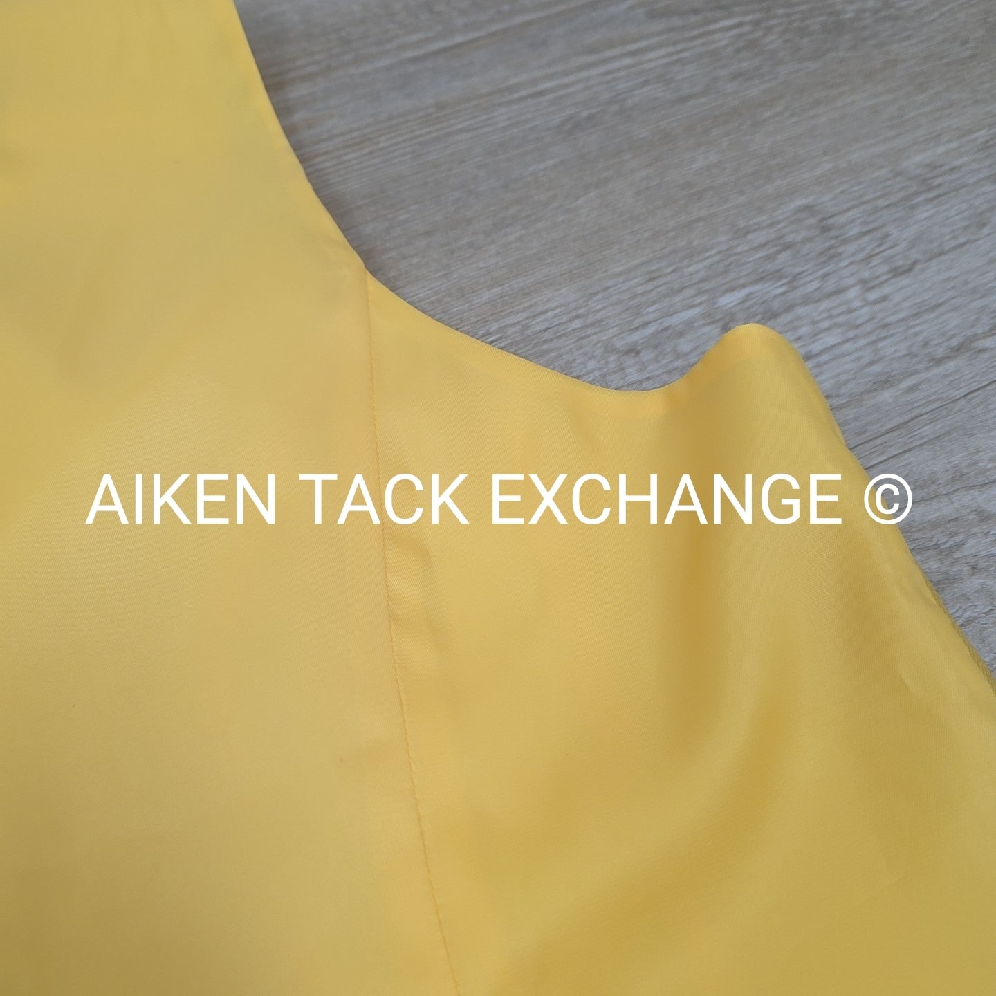 RJ Classics Aiken Hunt Canary Vest, Women's 16R