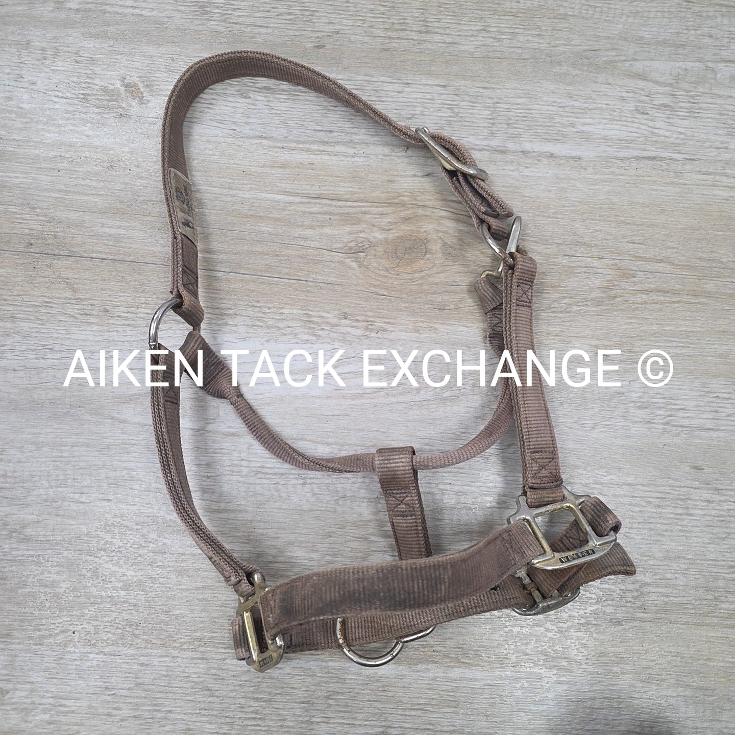 BARGAIN BUNDLE 4 Weaver Leather Nylon Halters, Size Horse