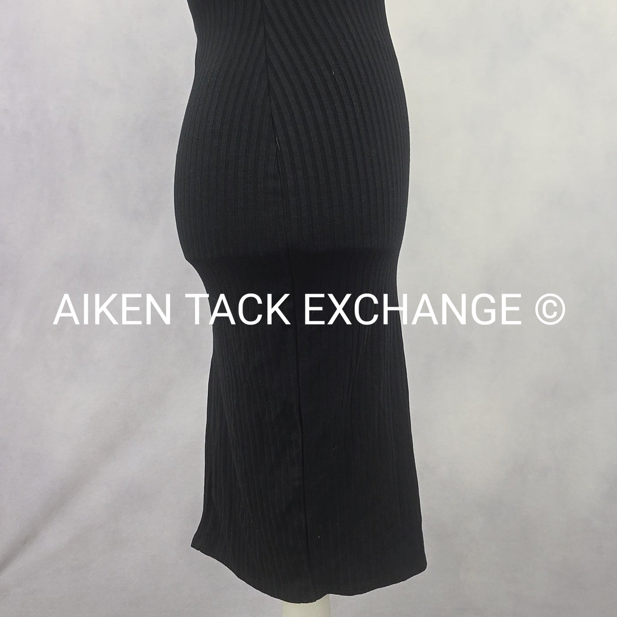 Venus Dress, Size X-Small