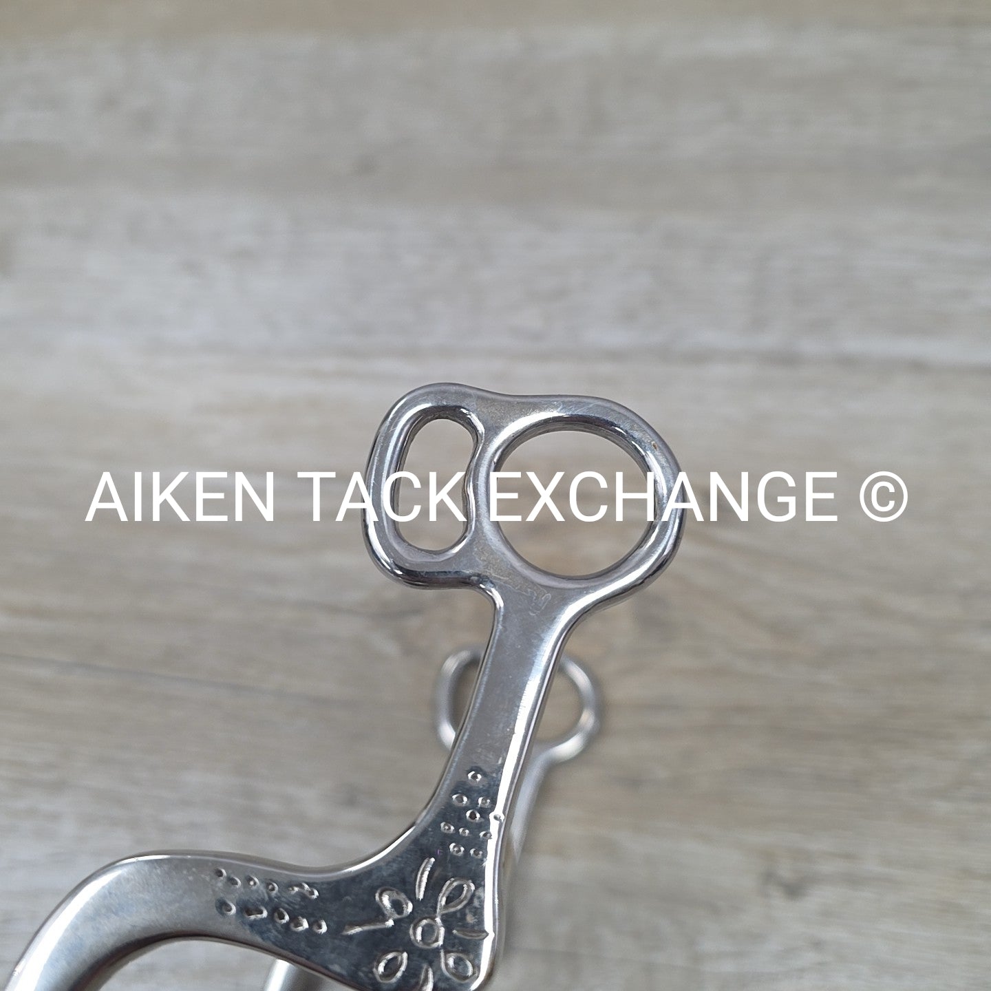 Ported Mullen Mouth Shanked Bit 5"