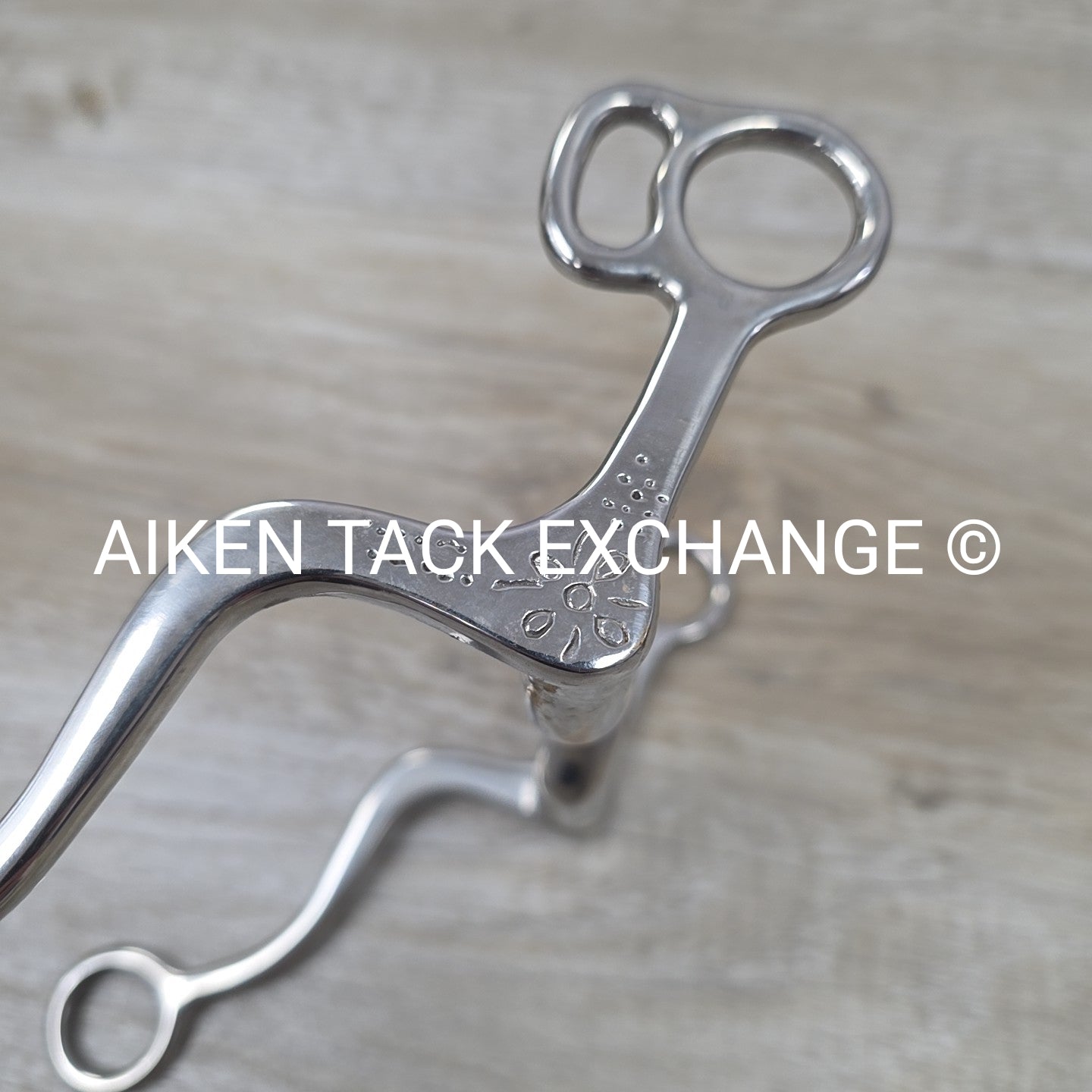 Ported Mullen Mouth Shanked Bit 5"