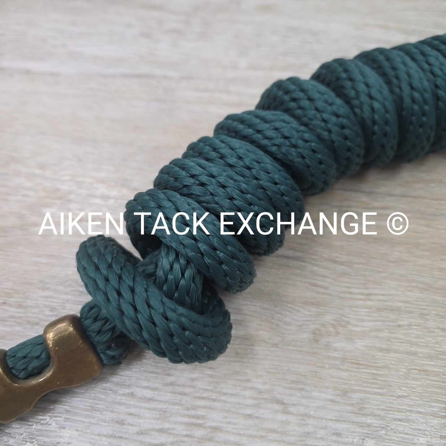 Nylon Lead Rope with Brass Snap