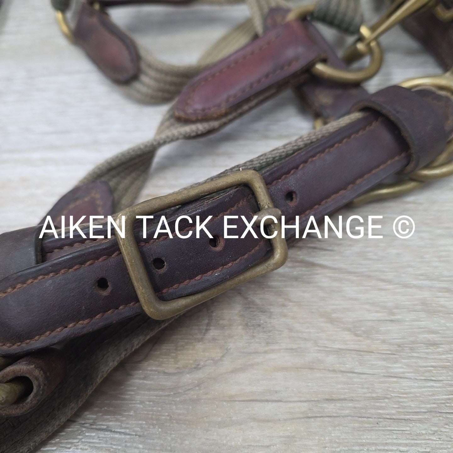 BARGAIN BUNDLE: Perri's Breakaway Halter, & Web Halter, Size Full