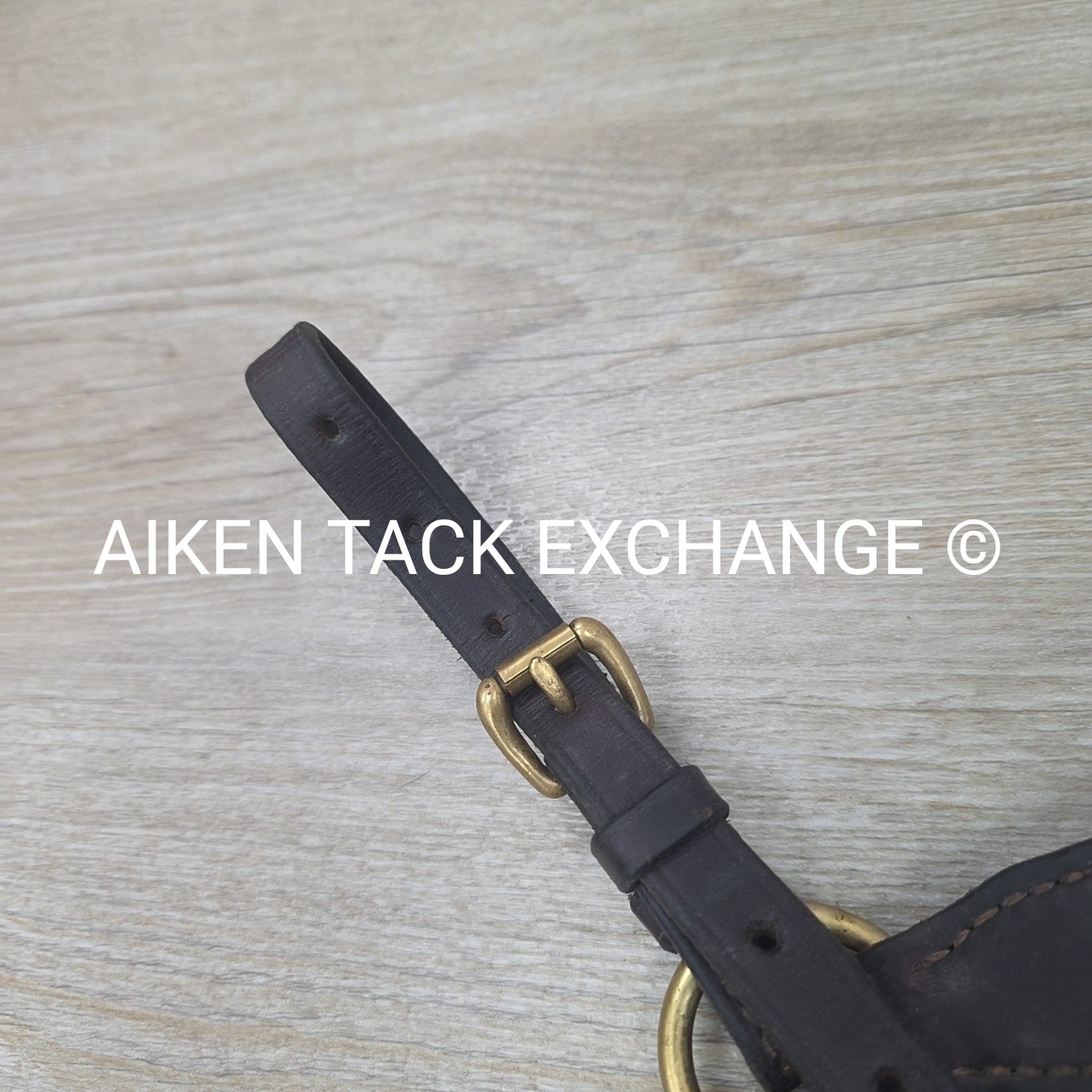 BARGAIN BUNDLE: Nunn Finer Elastic Breastplate & ExionPro Rubber Reins, Brown, S