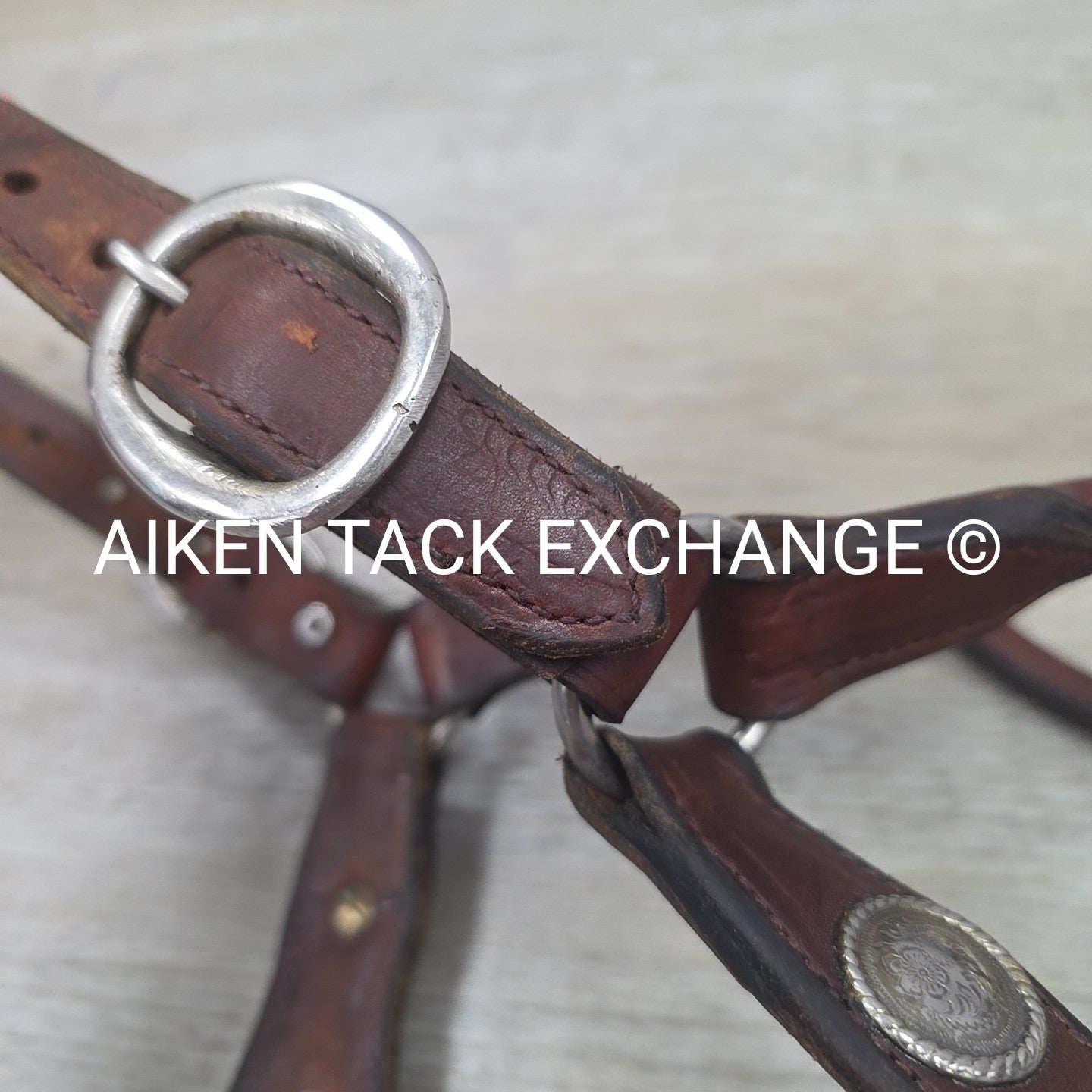 Western Show Halter, Size Full