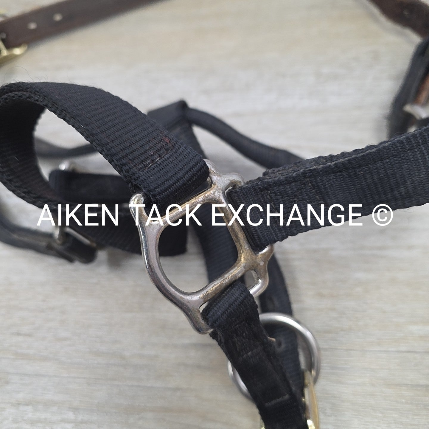 Perri's Nylon Breakaway Halter, Oversize