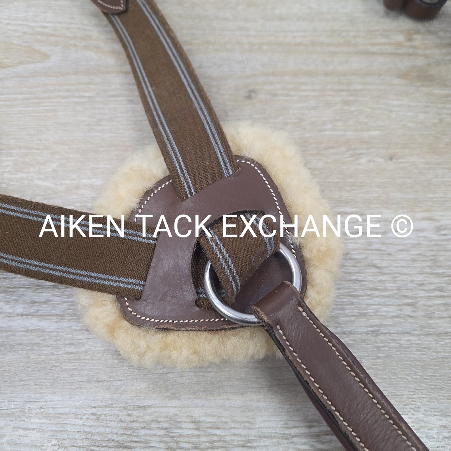 HDR Pro 5 Point Elastic Breastplate, Brown, Size Full