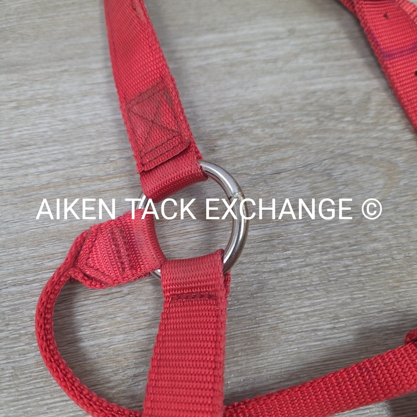 BARGAIN BUNDLE: Nylon Halter, Large, Nylon Halter Missing Crown, Full & Lead Rop