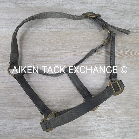 Walsh Nylon Halter, Size Cob