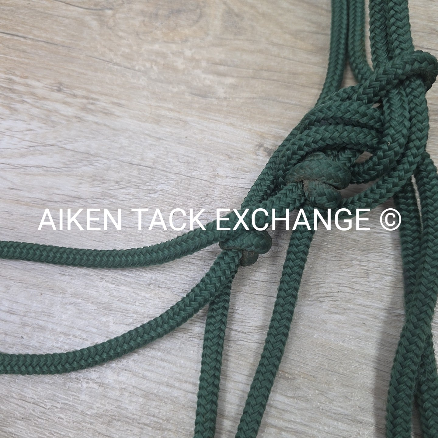 BARGAIN BUNDLE: 3 Rope Halters, 1 with Lead